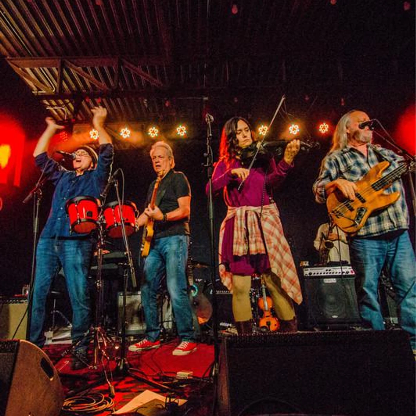 The Ozark Mountain Daredevils Brand Page