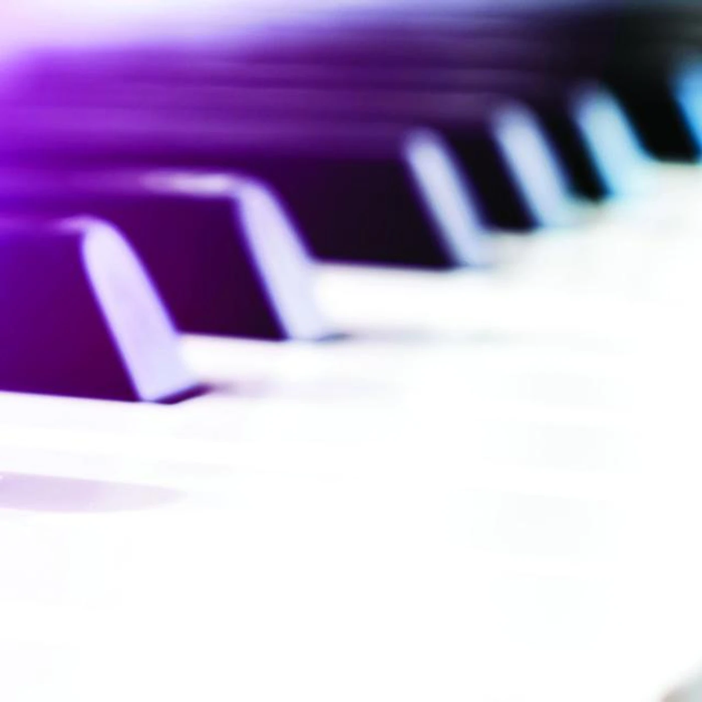 The Piano Brothers Group