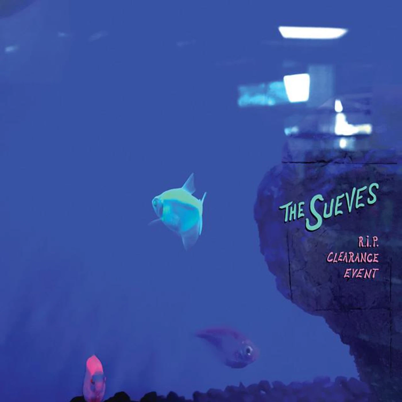 The Sueves Brand Page