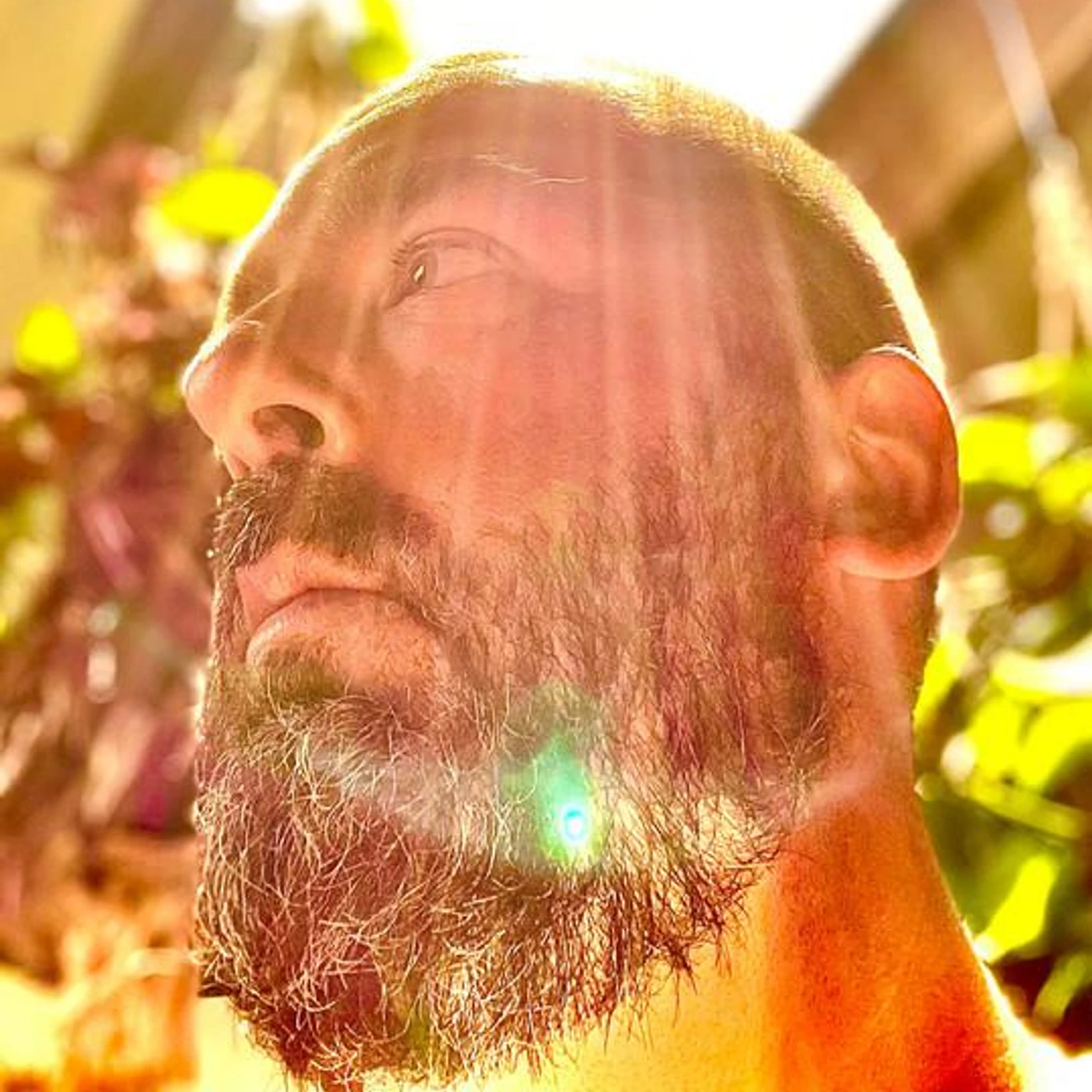 Tim Cohen