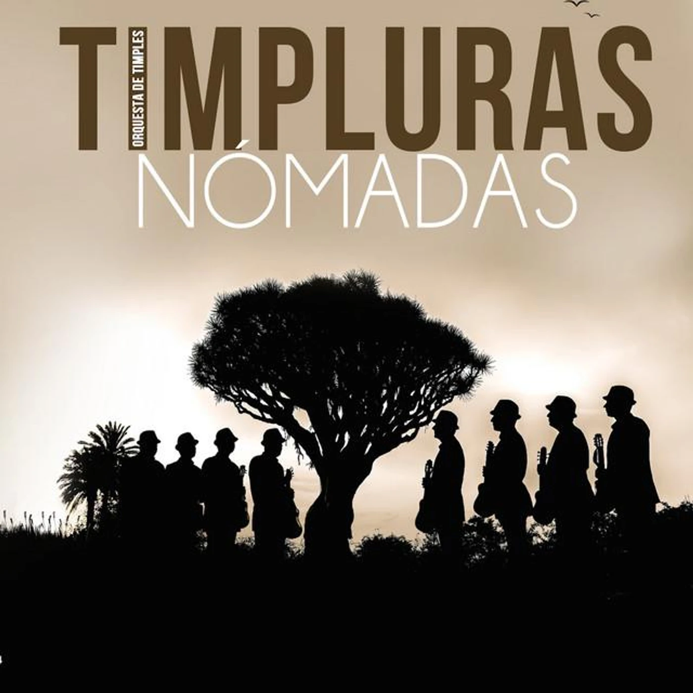 Timpluras Brand Page