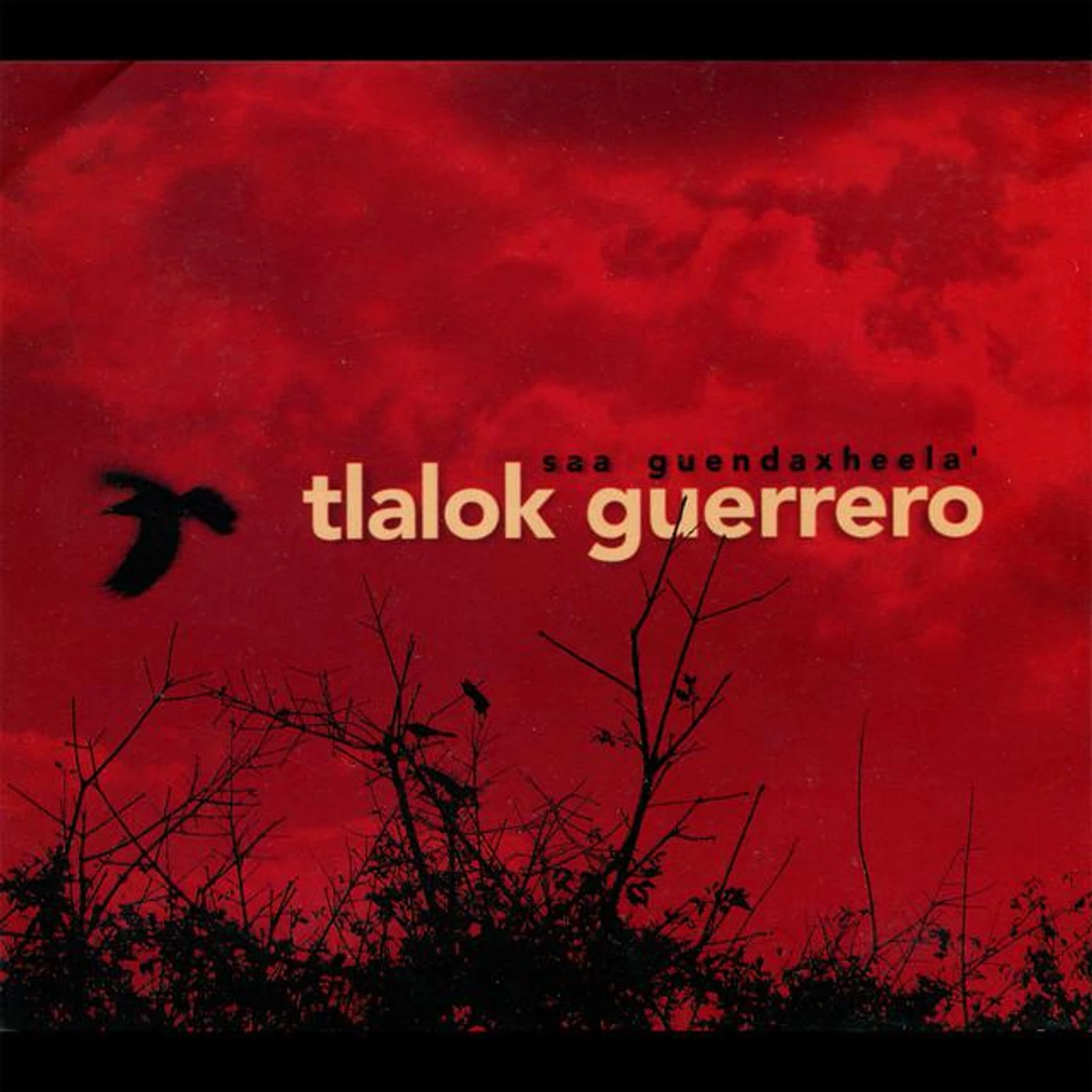 Tlalok Guerrero Brand Page