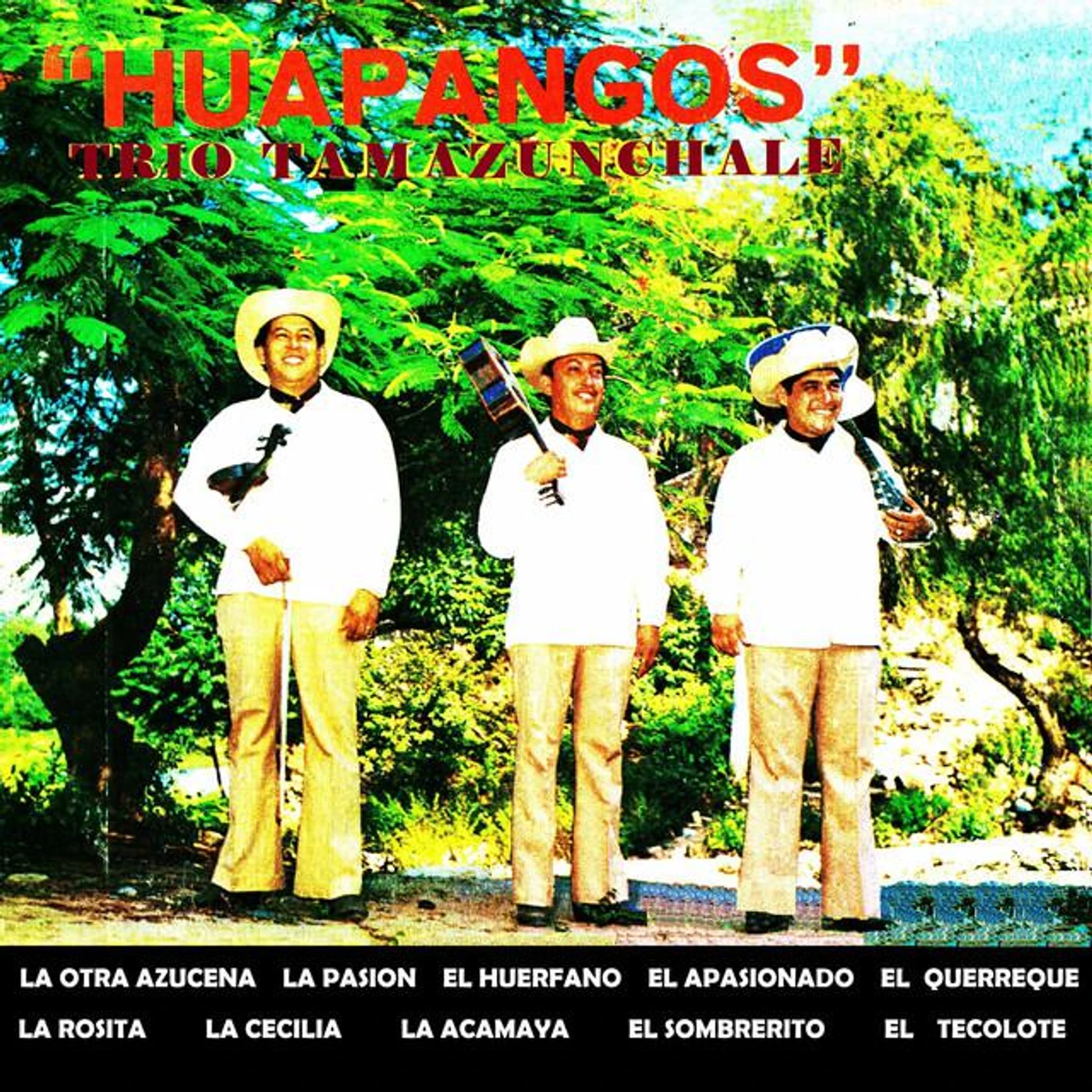Trío Tamazunchale Brand Page