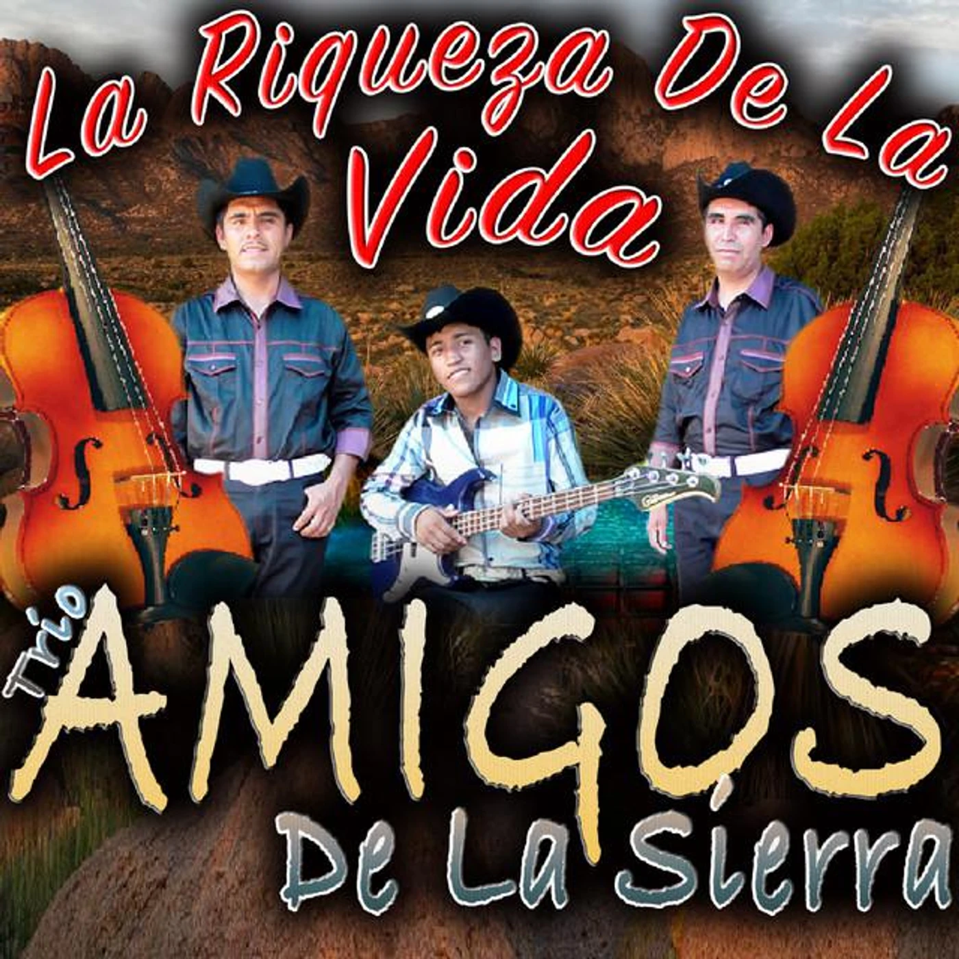 Trio Amigos De La Sierra