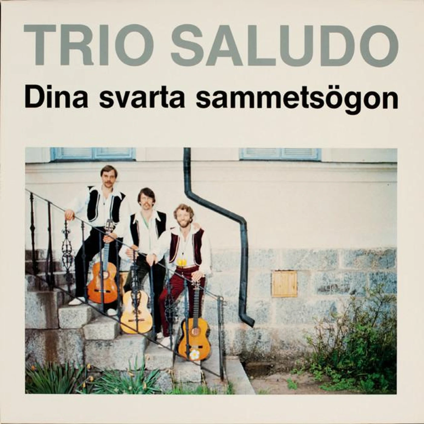 Trio Saludo Brand Page