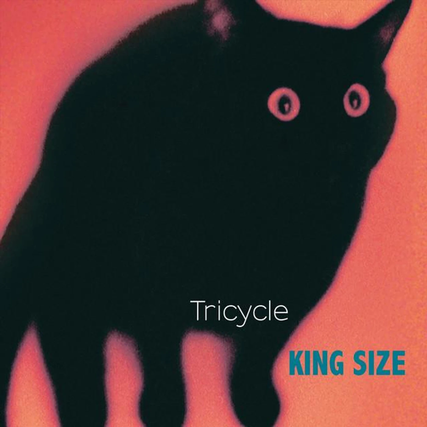 Tricycle