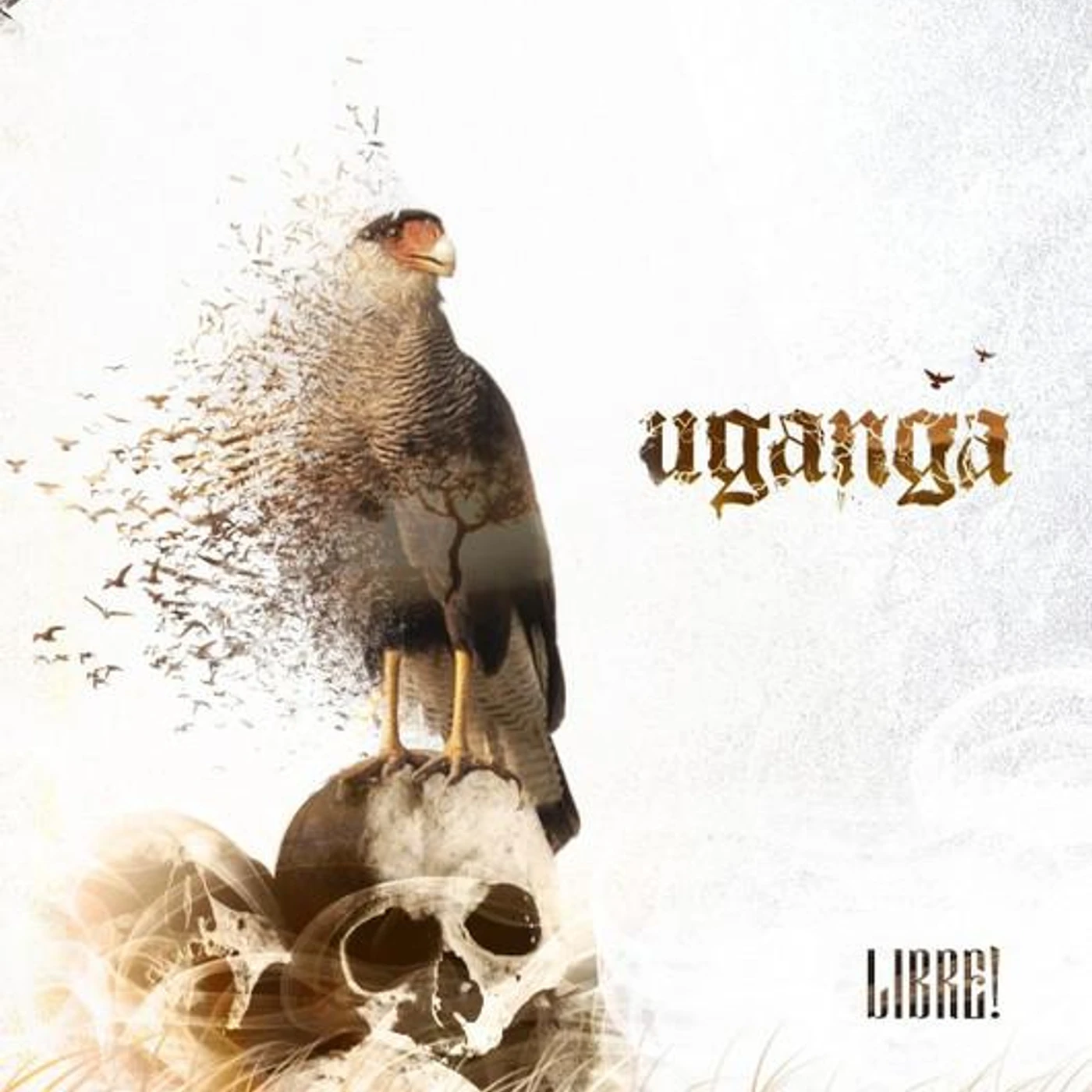 Uganga