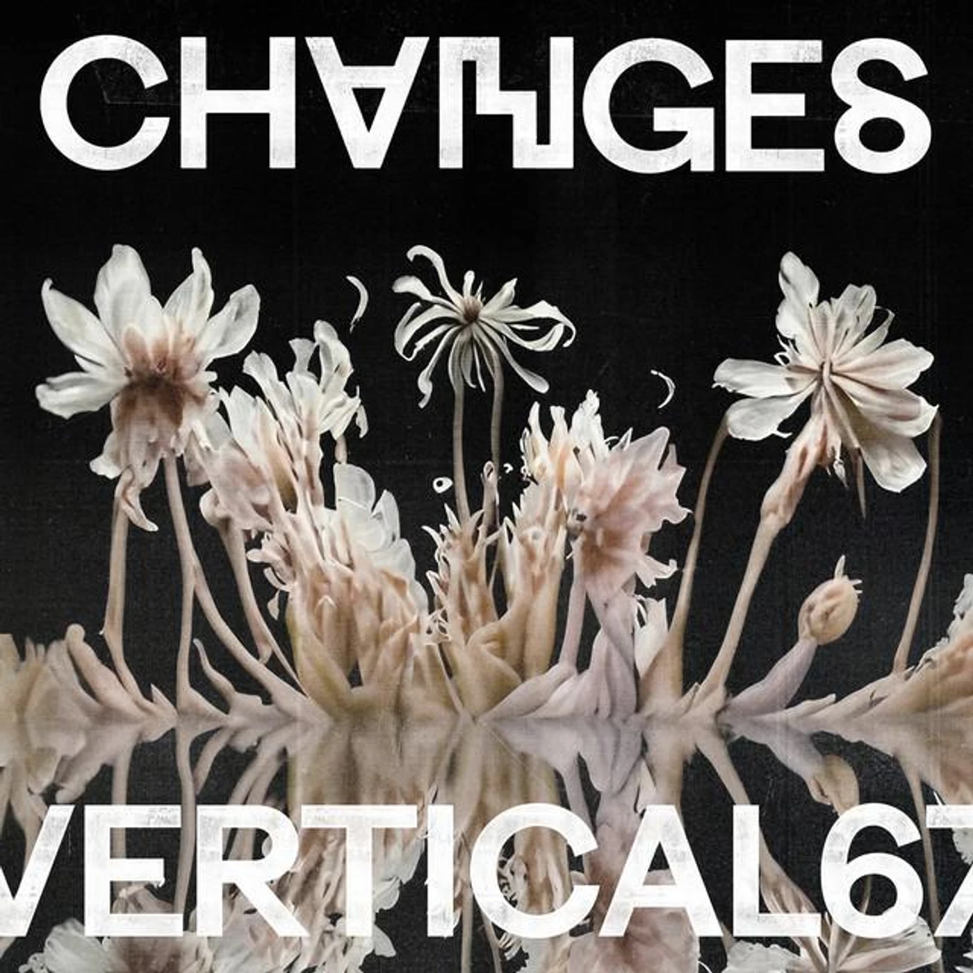 Vertical67 Brand Page