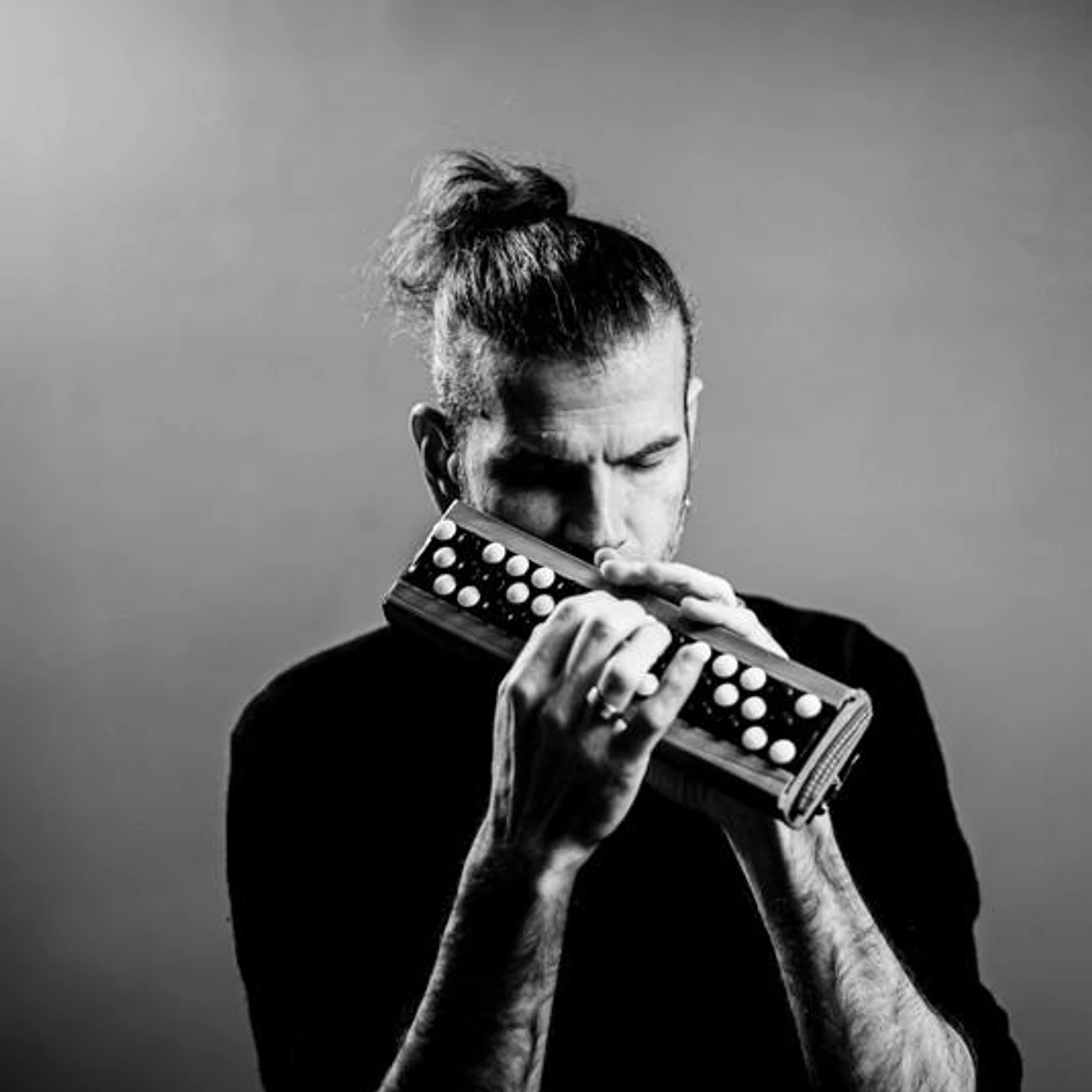 Vincent Peirani Brand Page