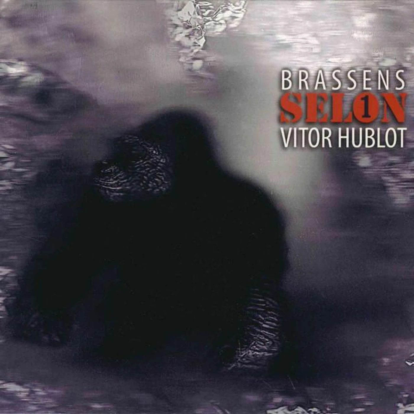 Vitor Hublot Brand Page