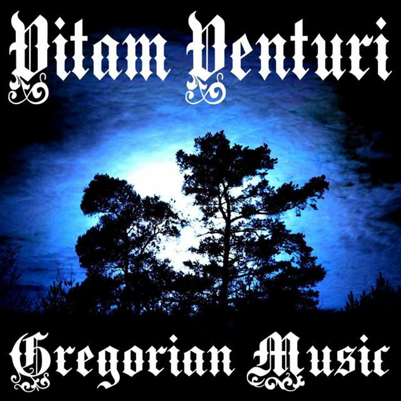 Vitam Venturi Brand Page
