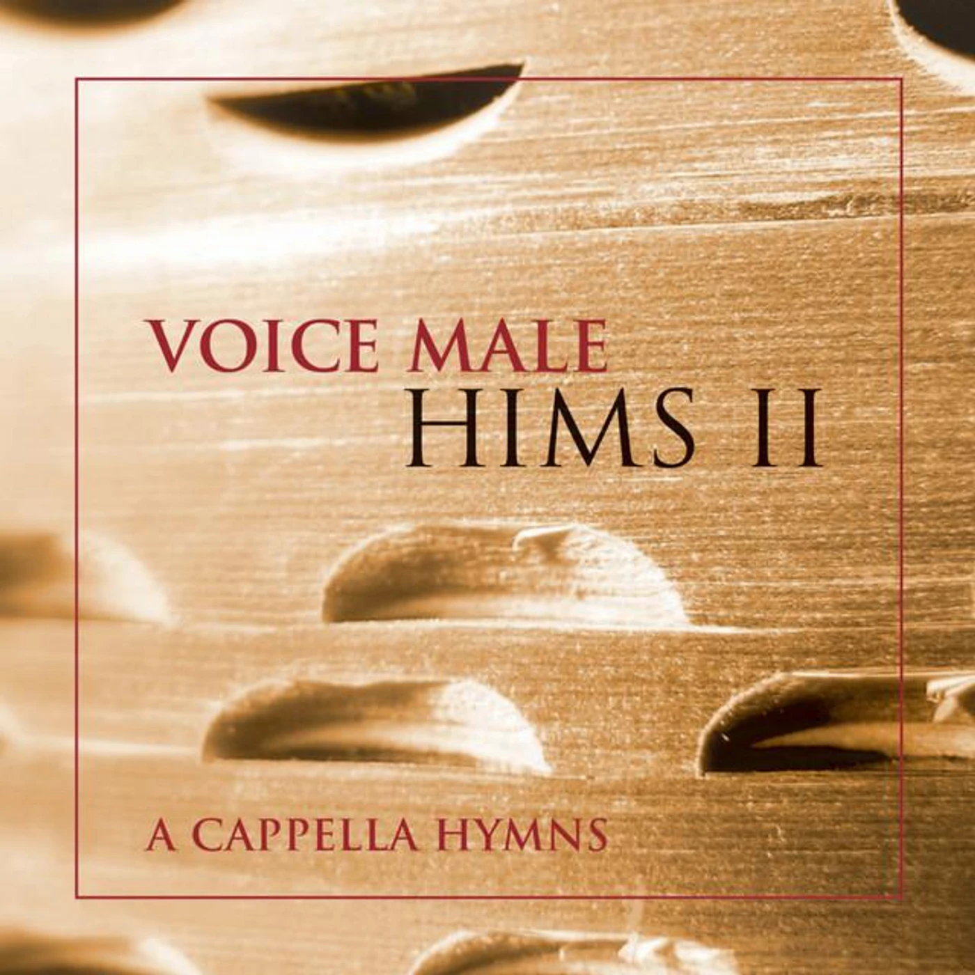 Voice Male Brand Page