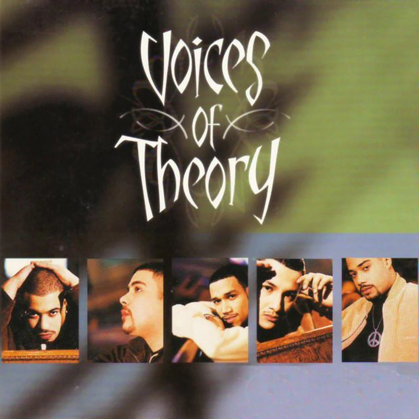 Voices of Theory Brand Page