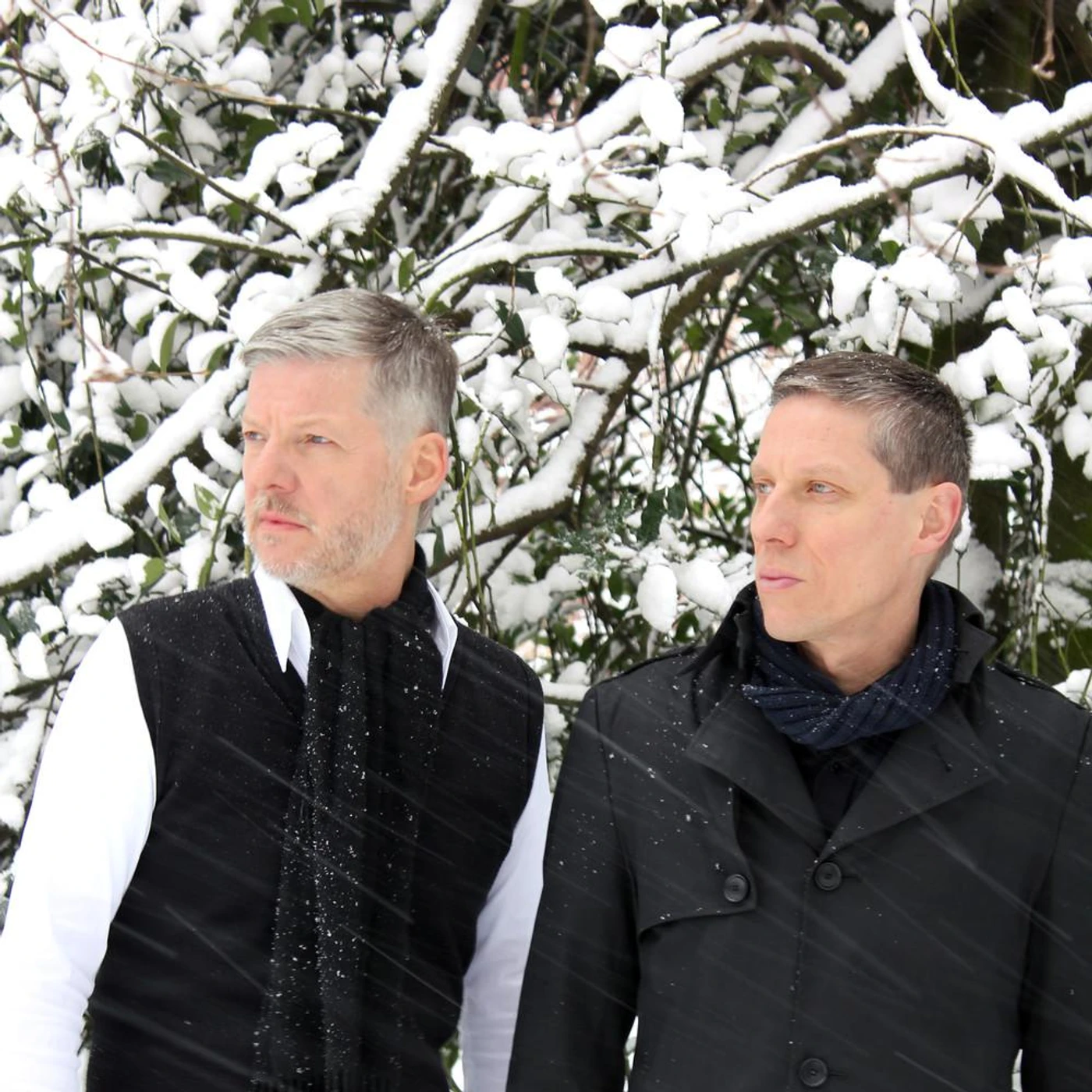 Voigt & Voigt Brand Page