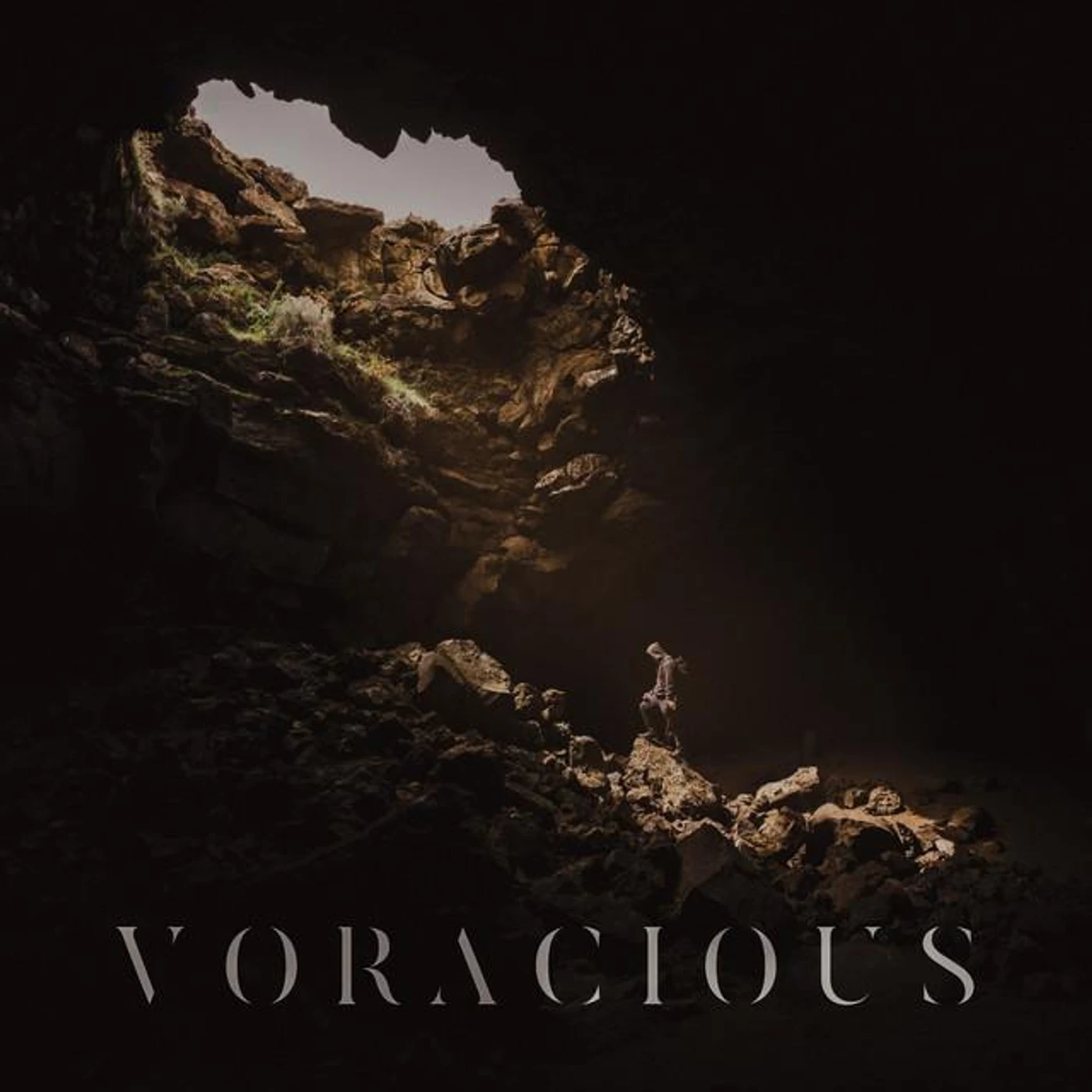 Voracious Brand Page