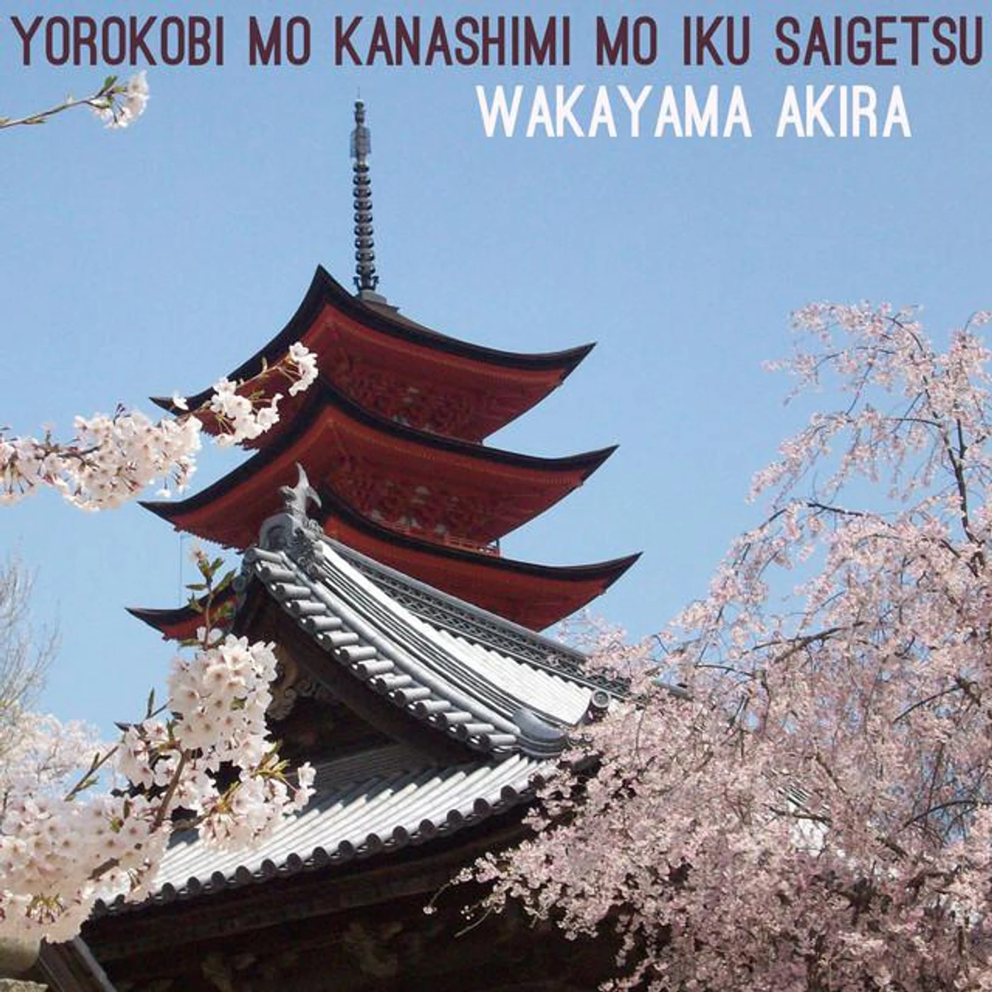 Wakayama Akira
