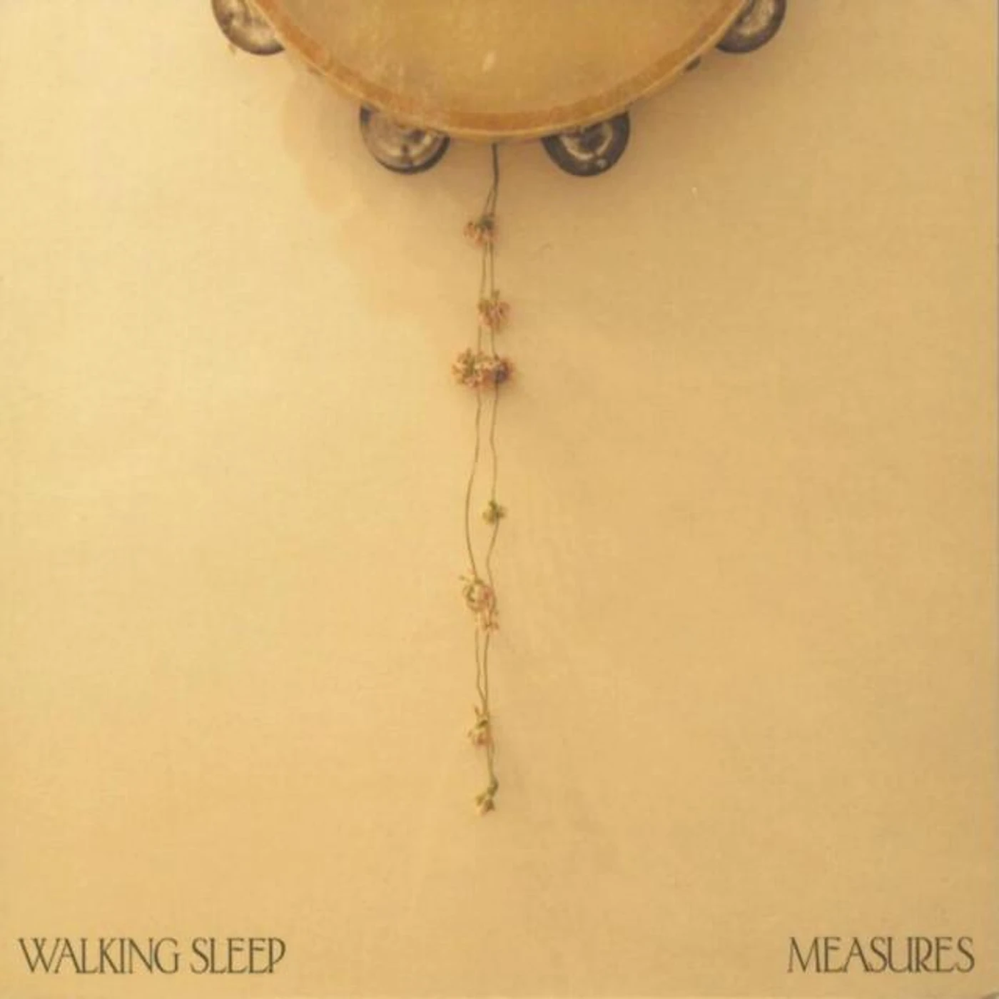 Walking Sleep