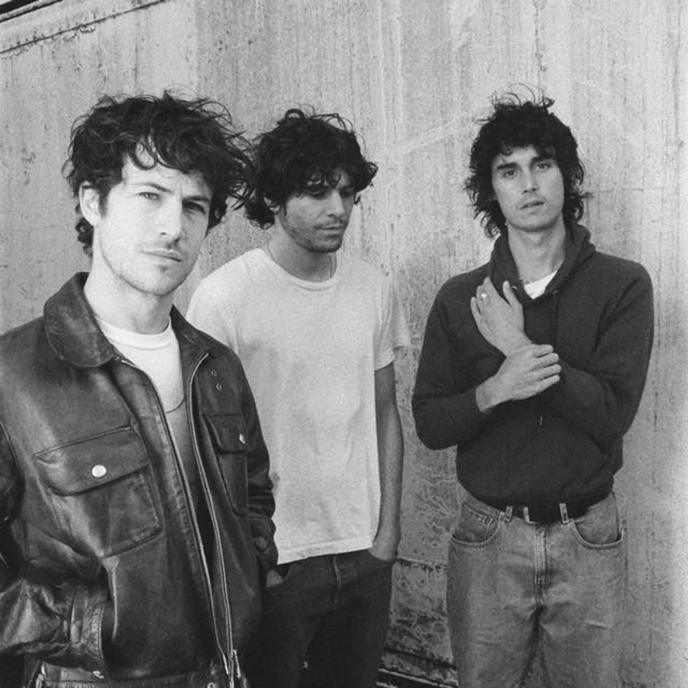 Wallows Brand Page