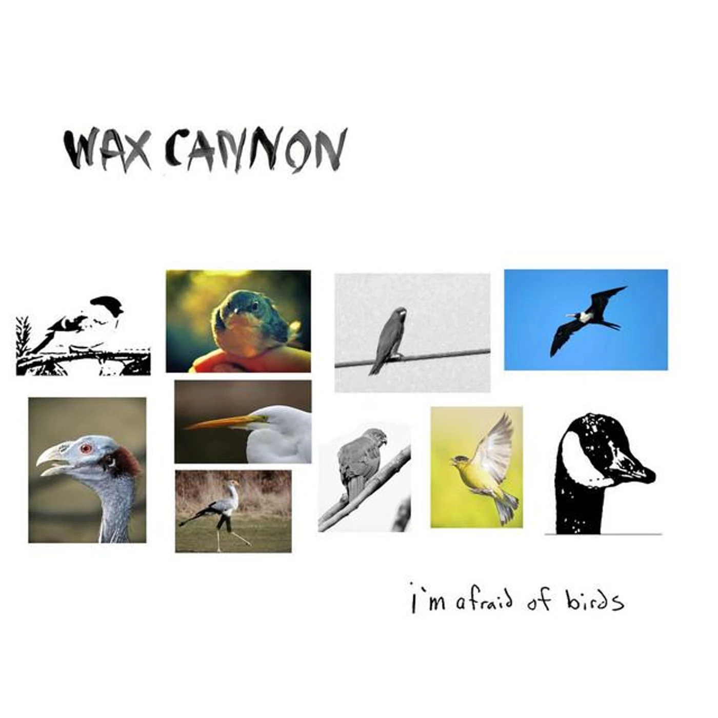 Wax Cannon Brand Page