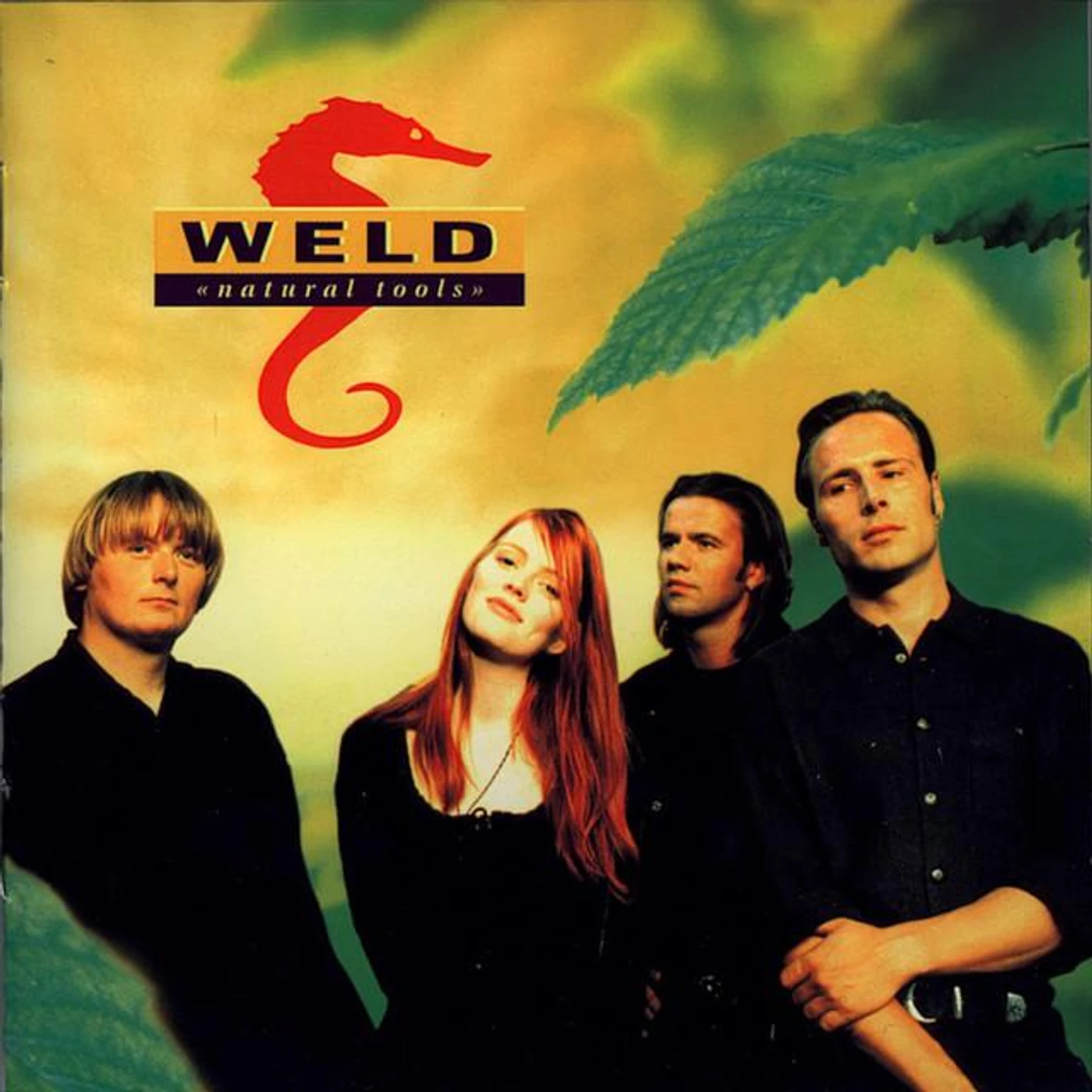 Weld Brand Page
