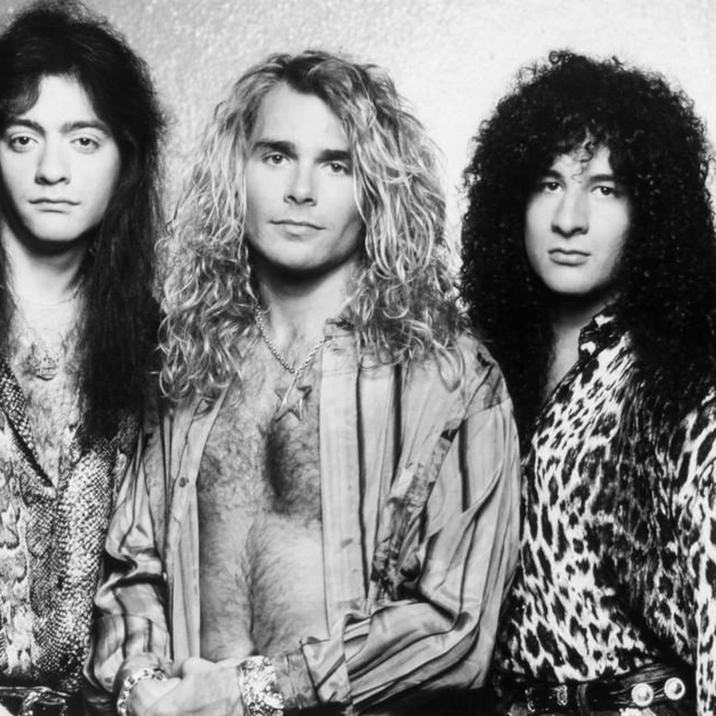 White Lion Brand Page