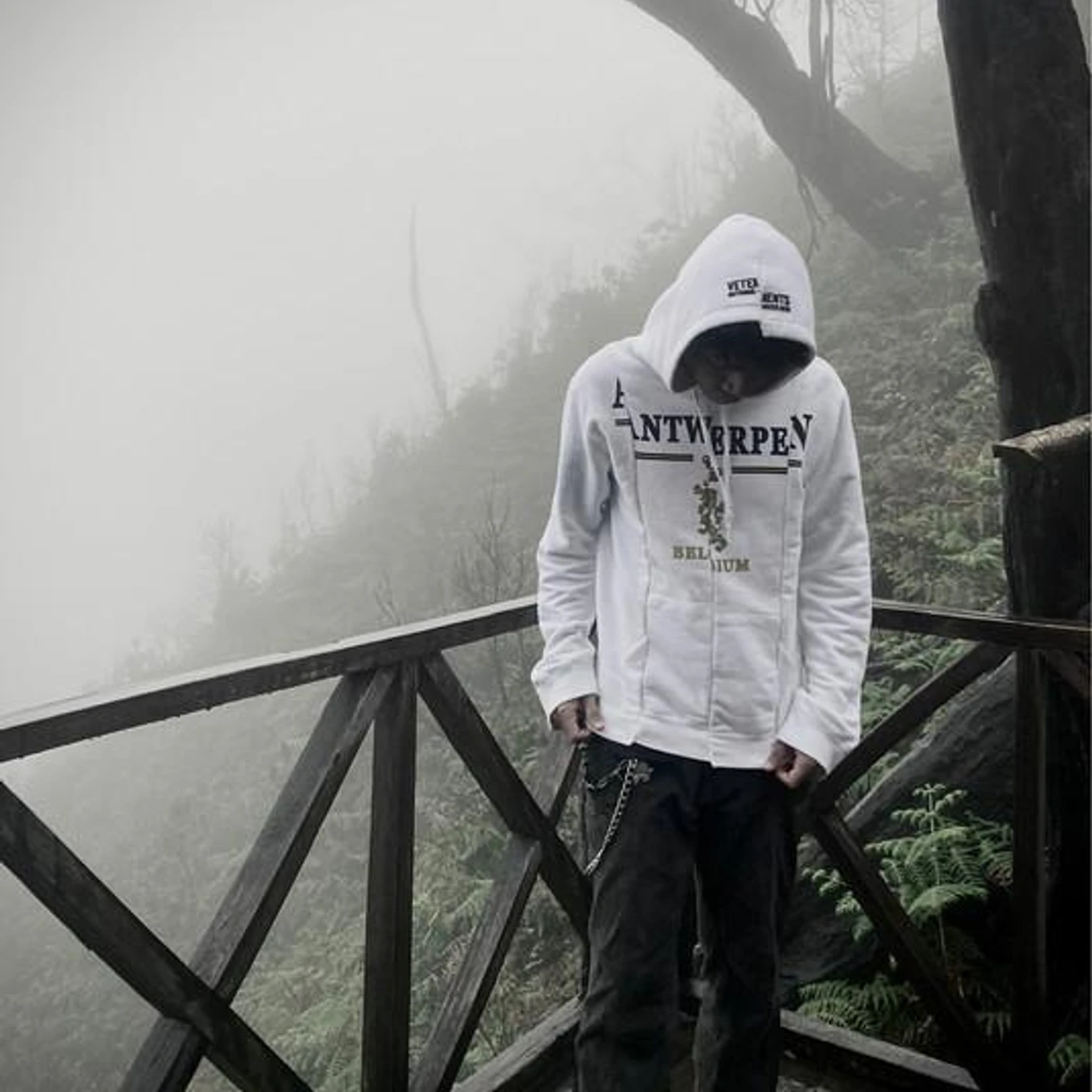 whyfrhnsleep Brand Page