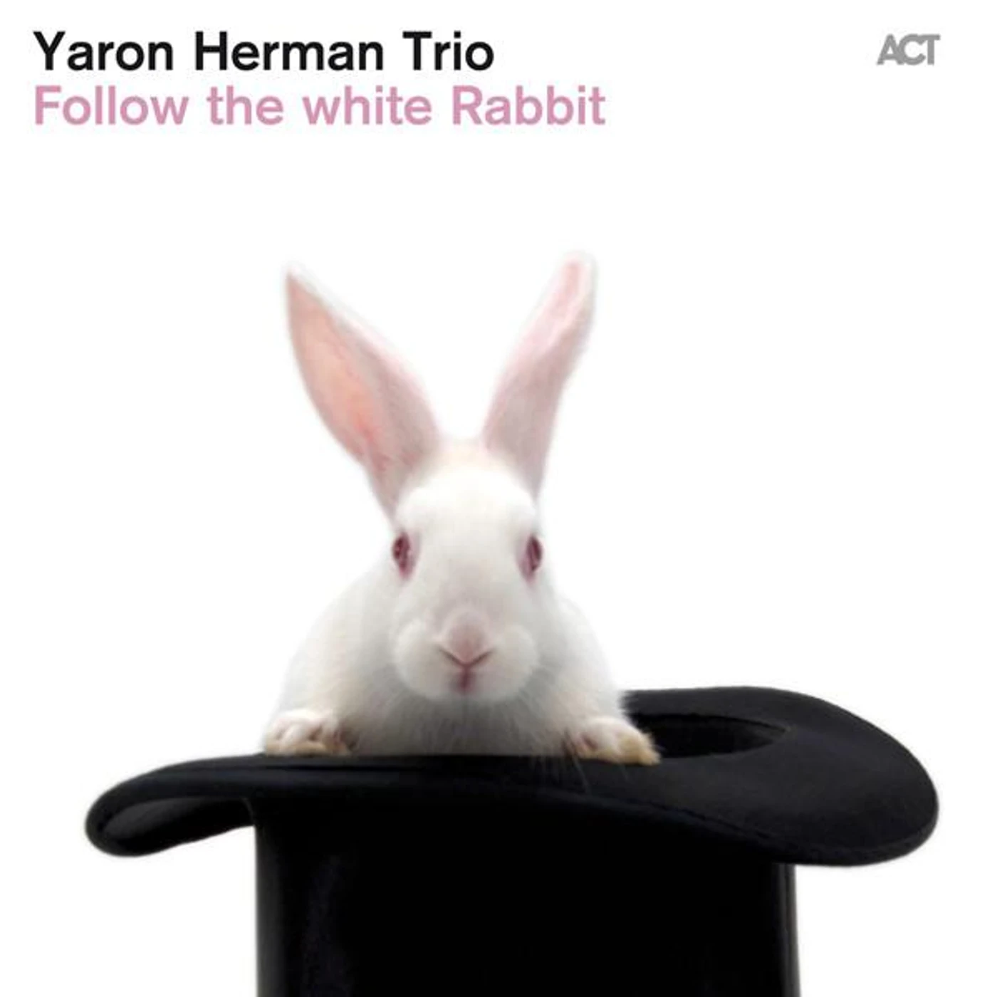 Yaron Herman Trio Brand Page