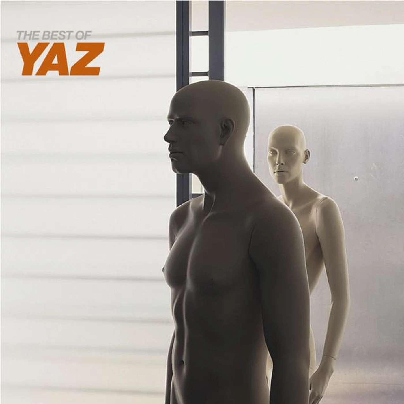 Yaz