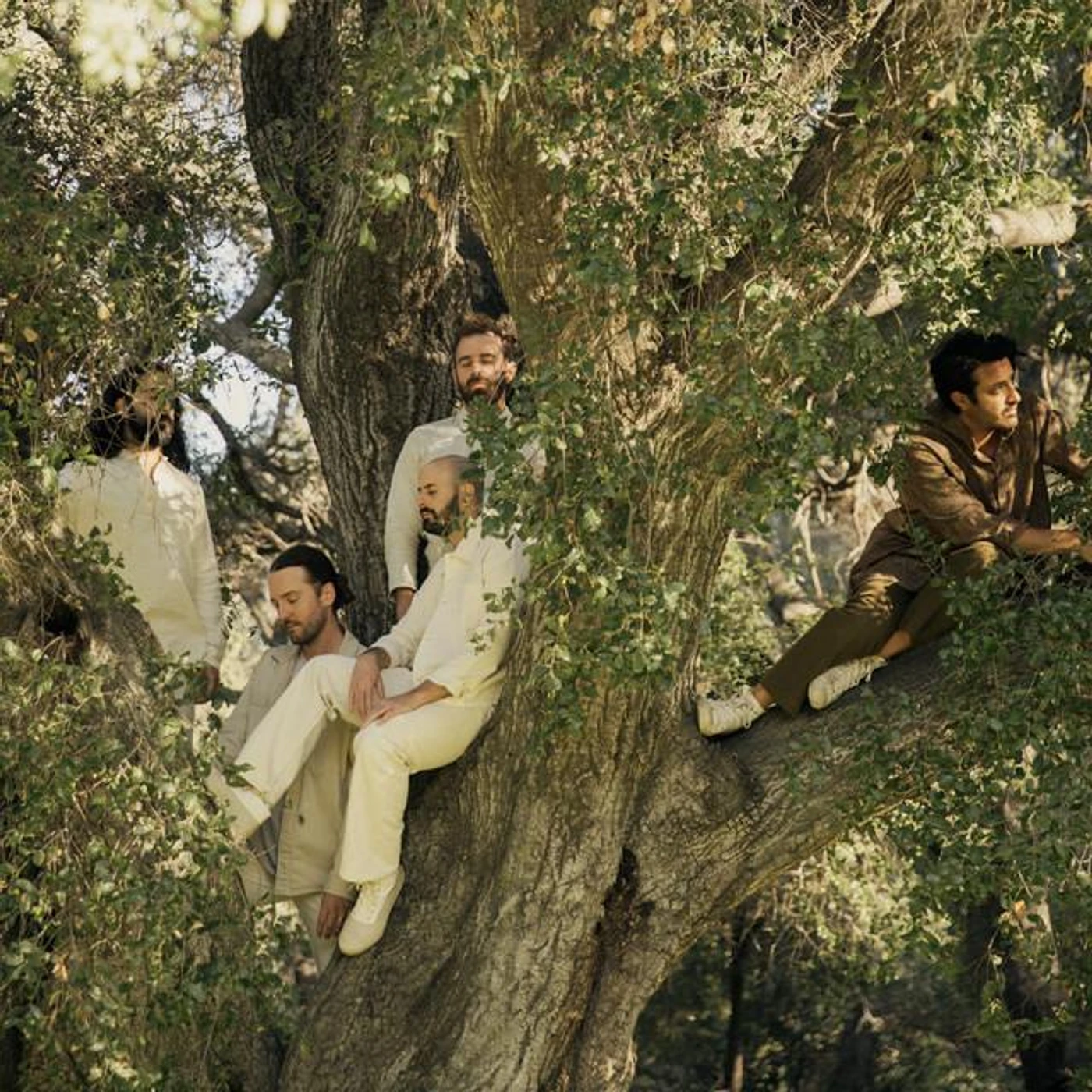 Young the Giant Brand Page