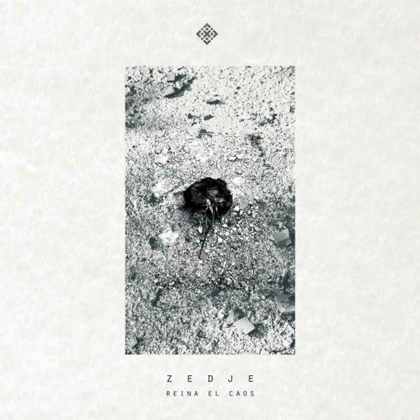 Zedje Brand Page
