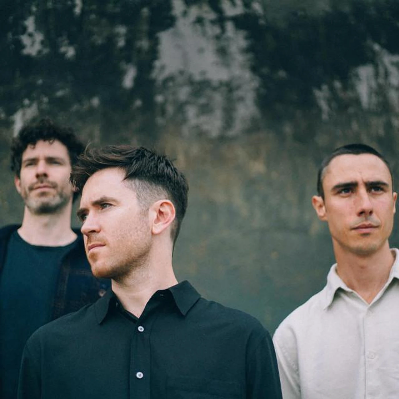 Zola Blood Brand Page