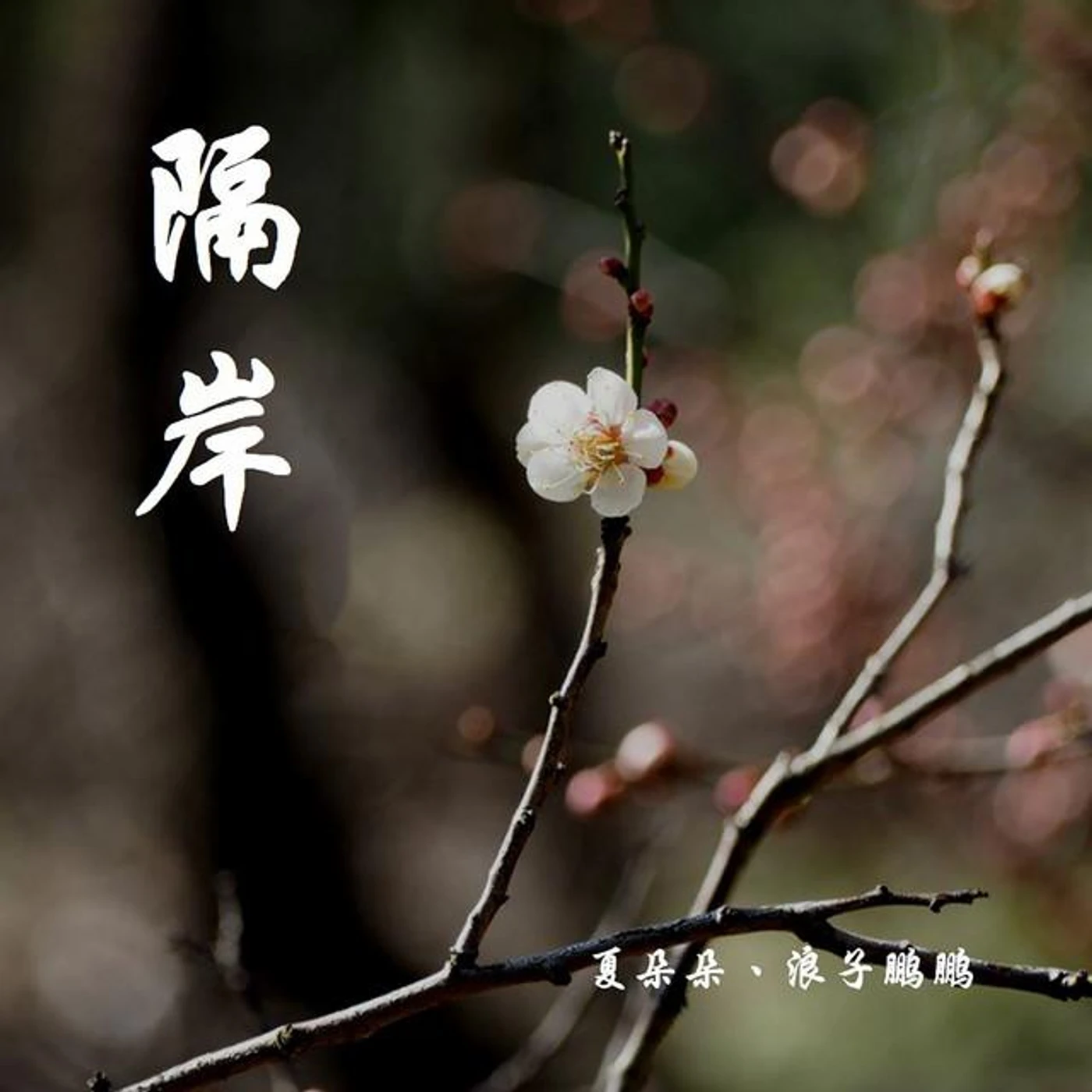 夏朵朵 Brand Page