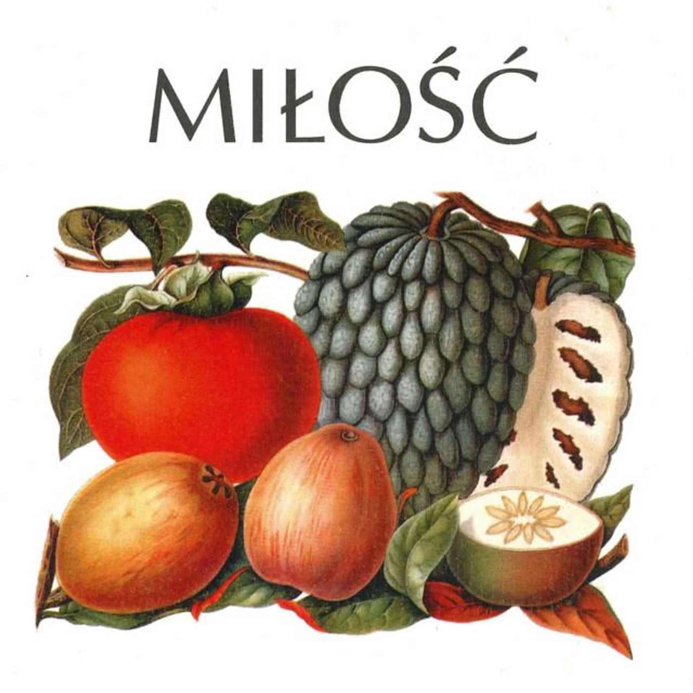 Miłość Brand Page
