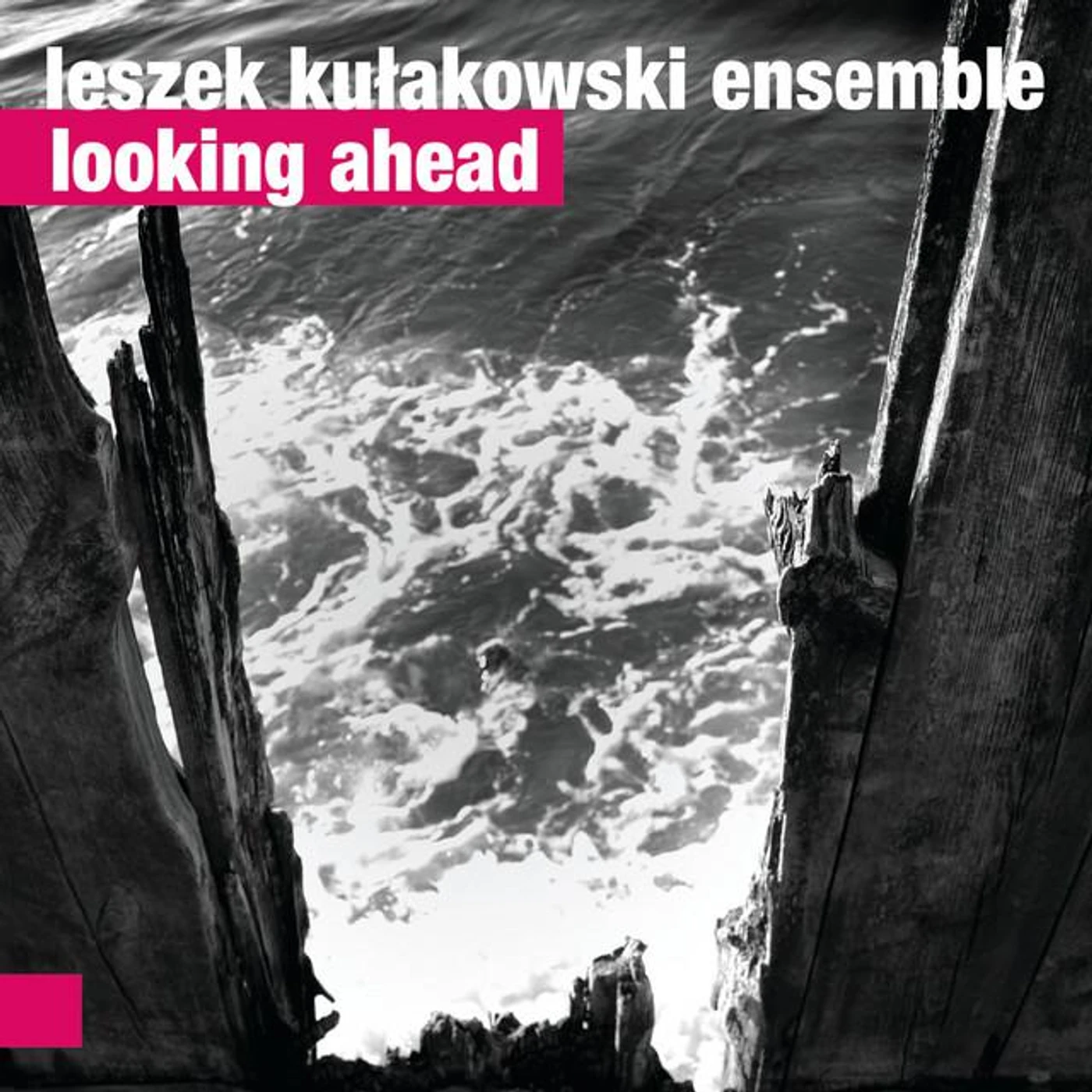 Leszek Kułakowski Ensemble Brand Page