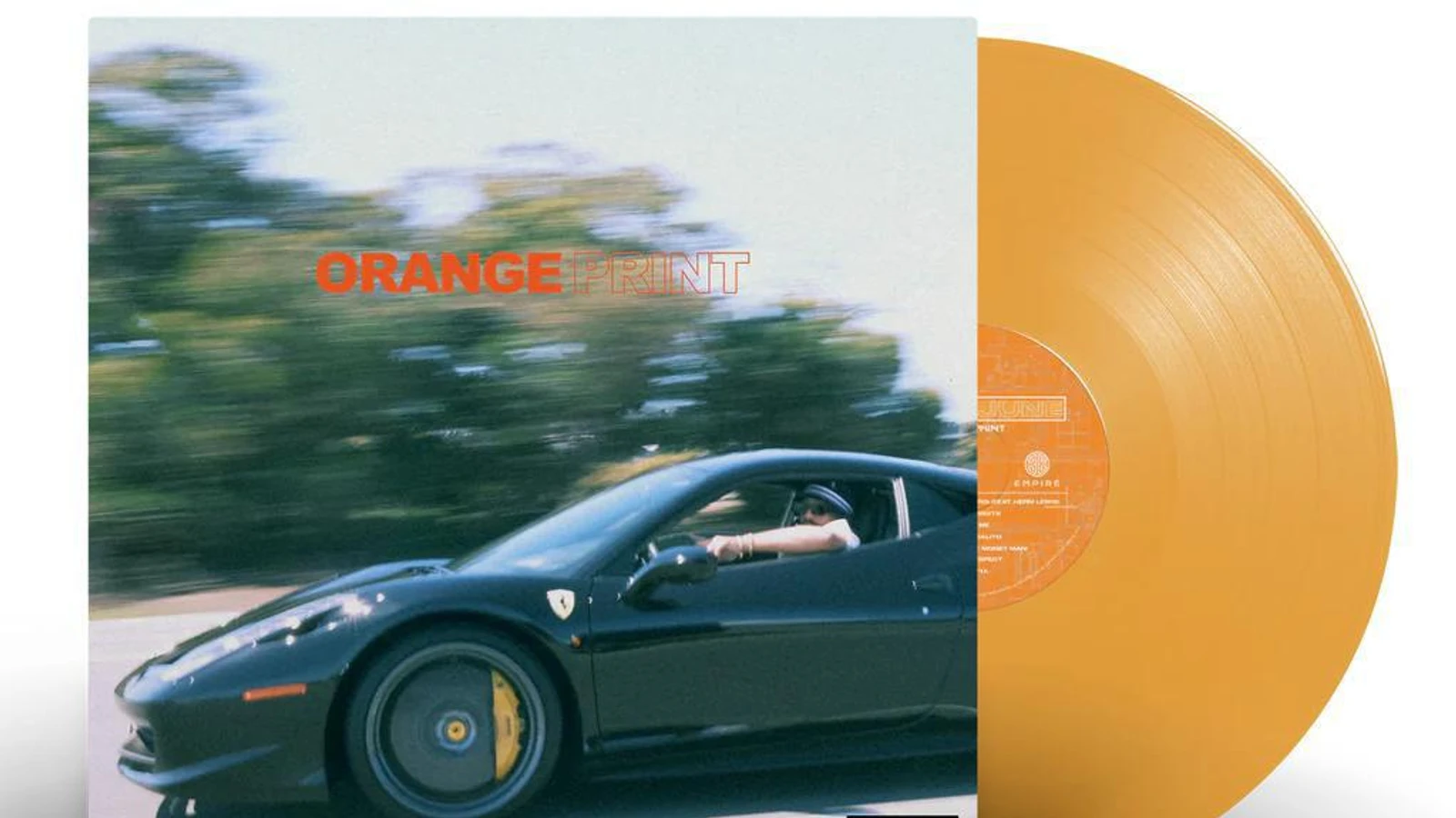 LP Orange Print レコード June Larry -