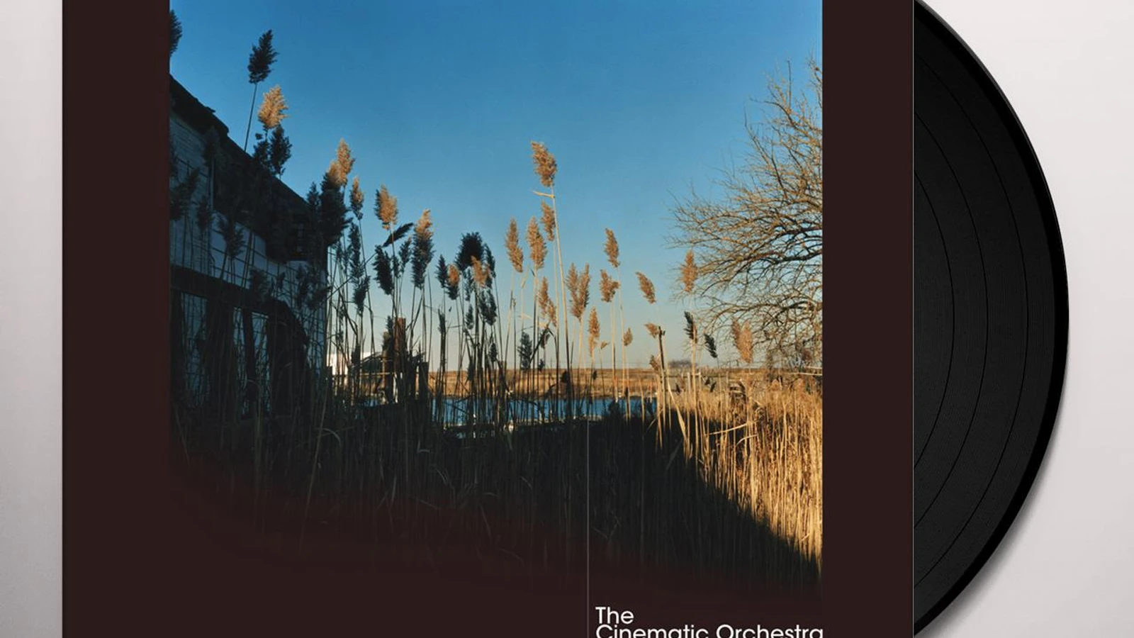 The Cinematic Orchestra Ma Fleur Vinyl Record
