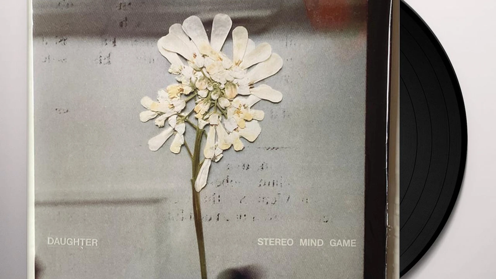 GLS034501 Mind /00260 Daughter 米LP Glassnote Stereo Game