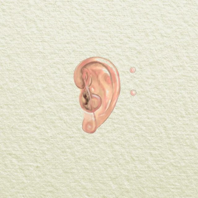 Ear Theory