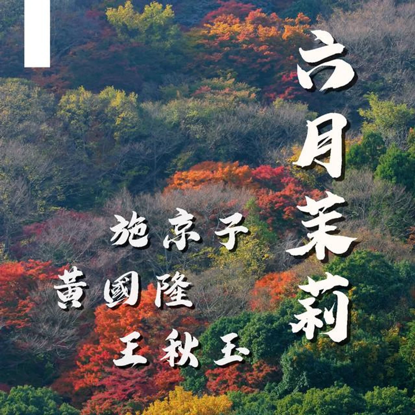 施京子