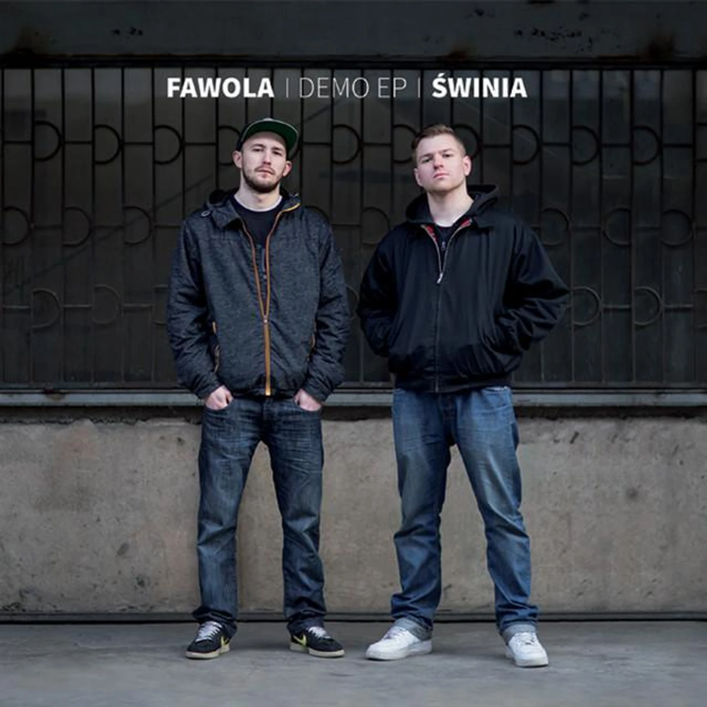 Świnia