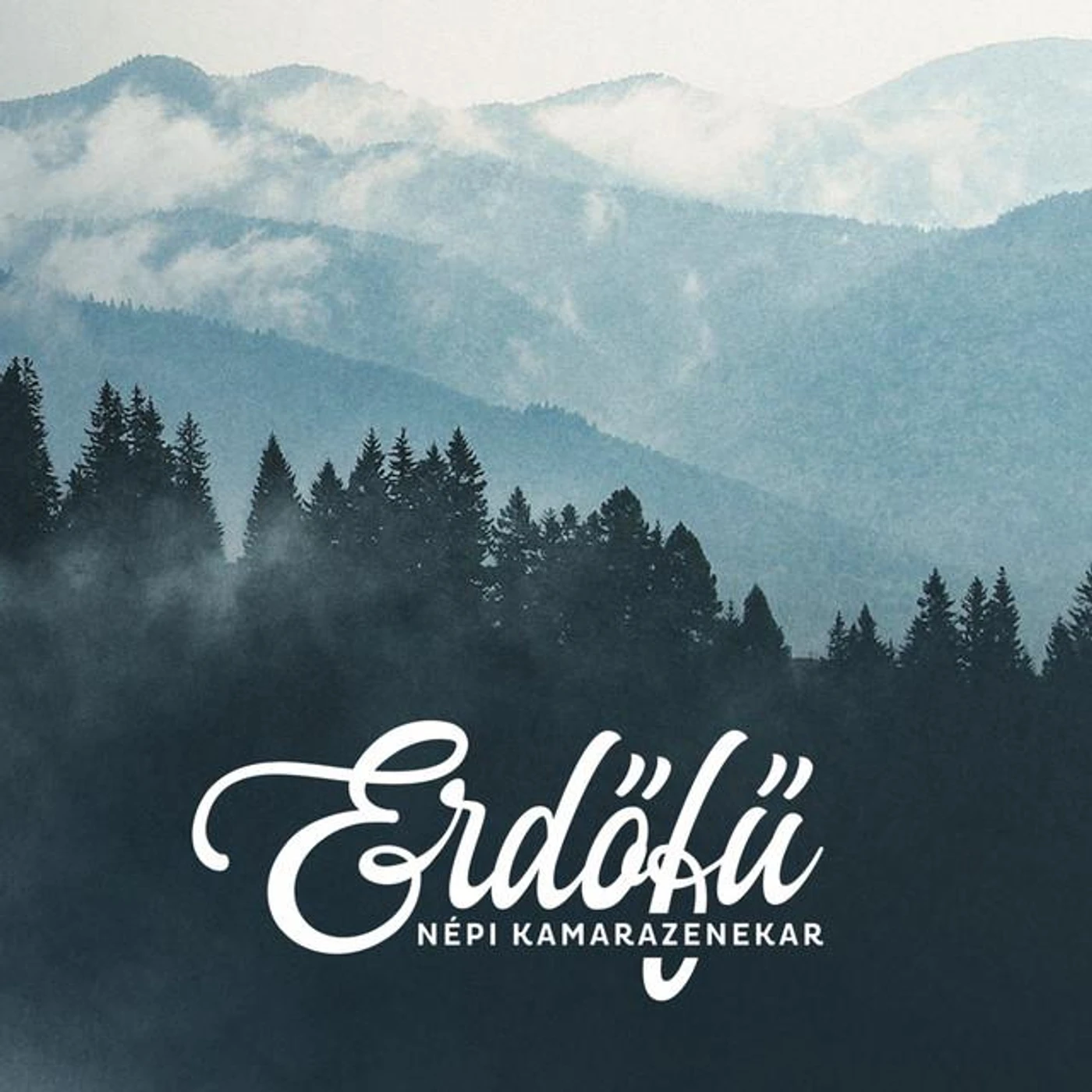 Erdőfű Népi Kamarazenekar