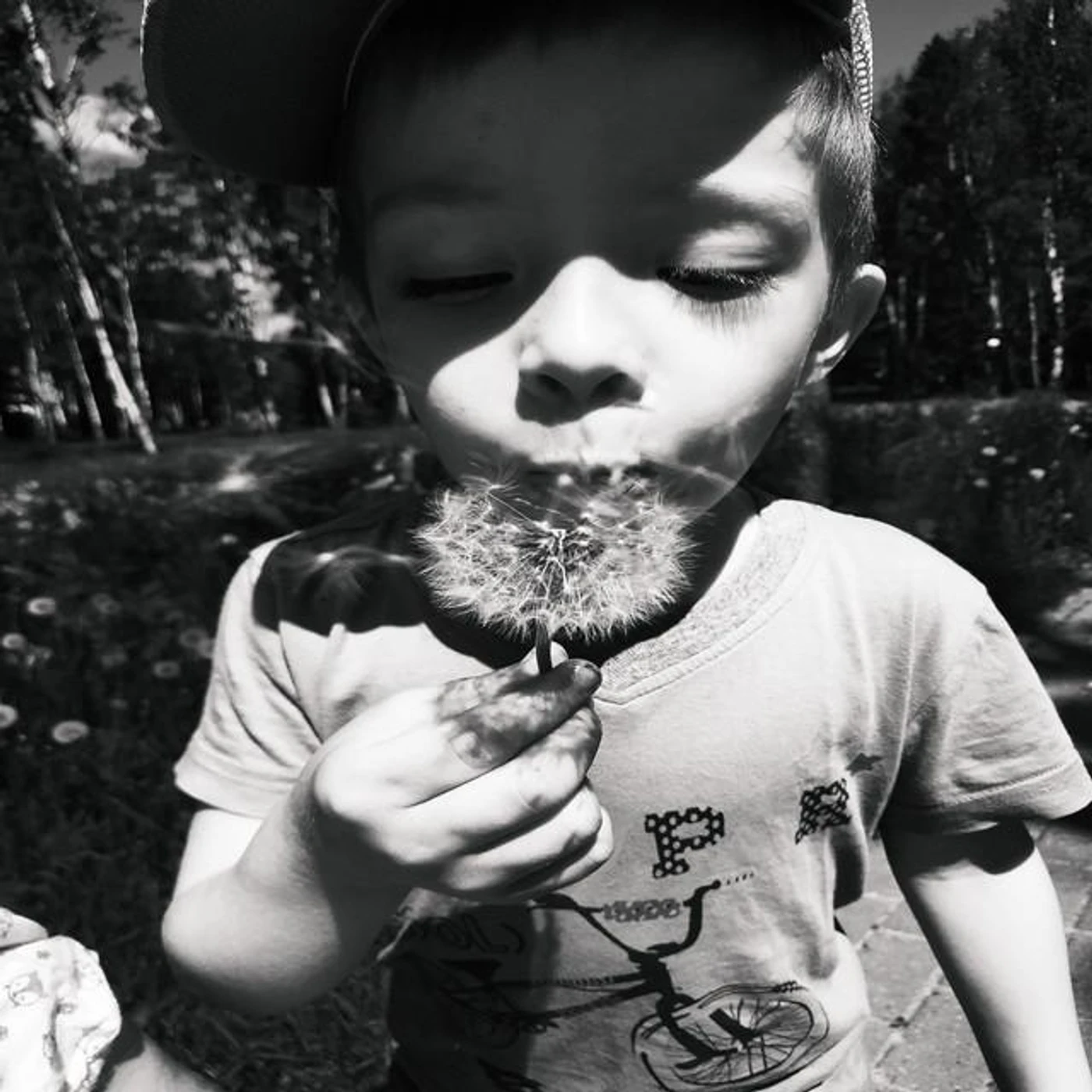 Трамвай 7 планет