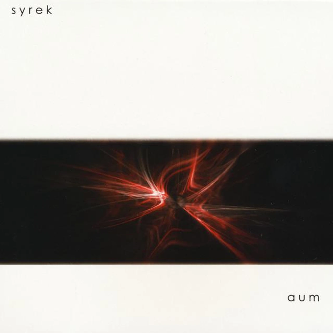 Terry Syrek