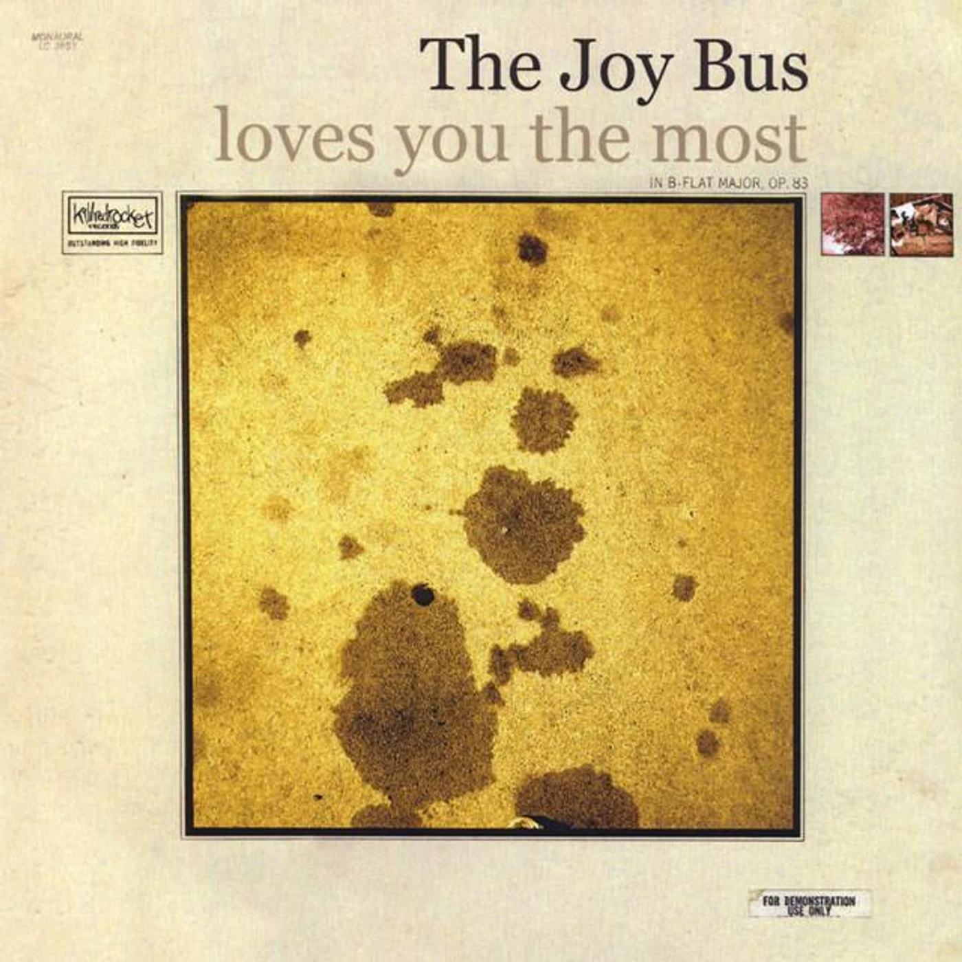 The Joy Bus
