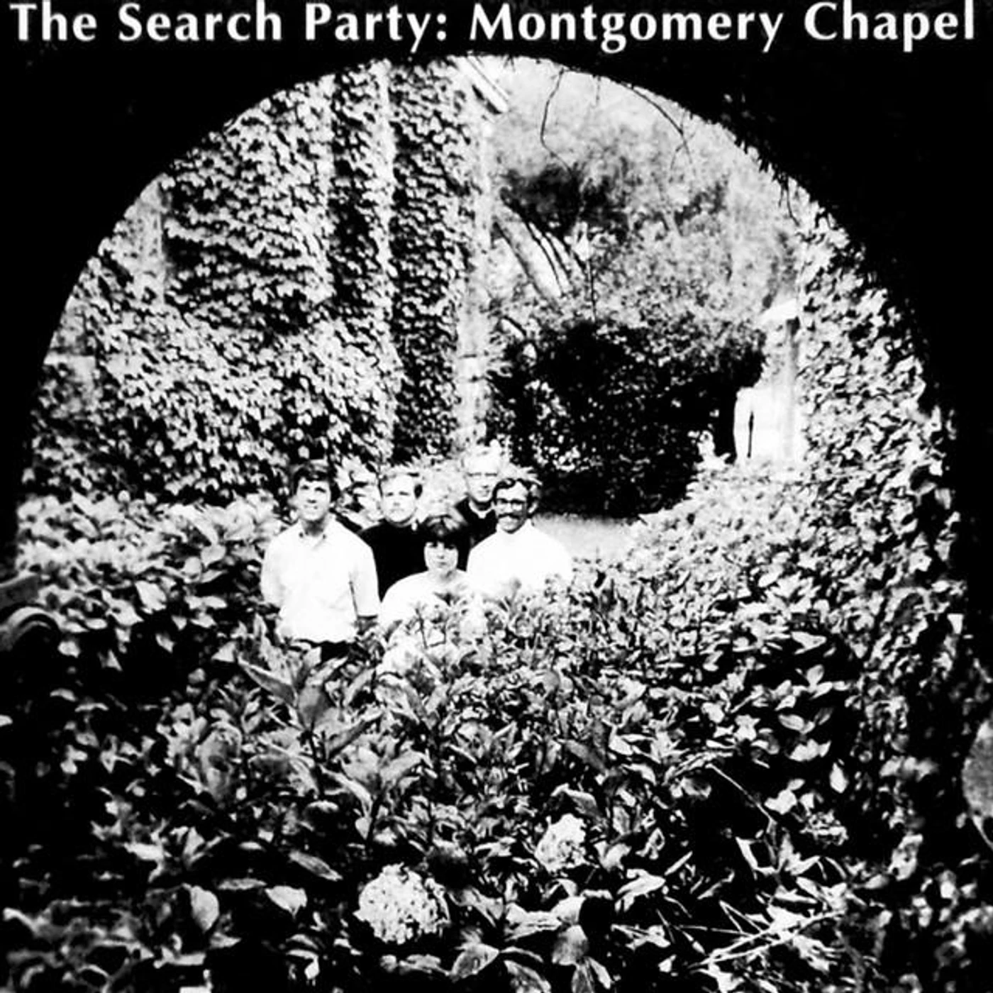 The Search Party