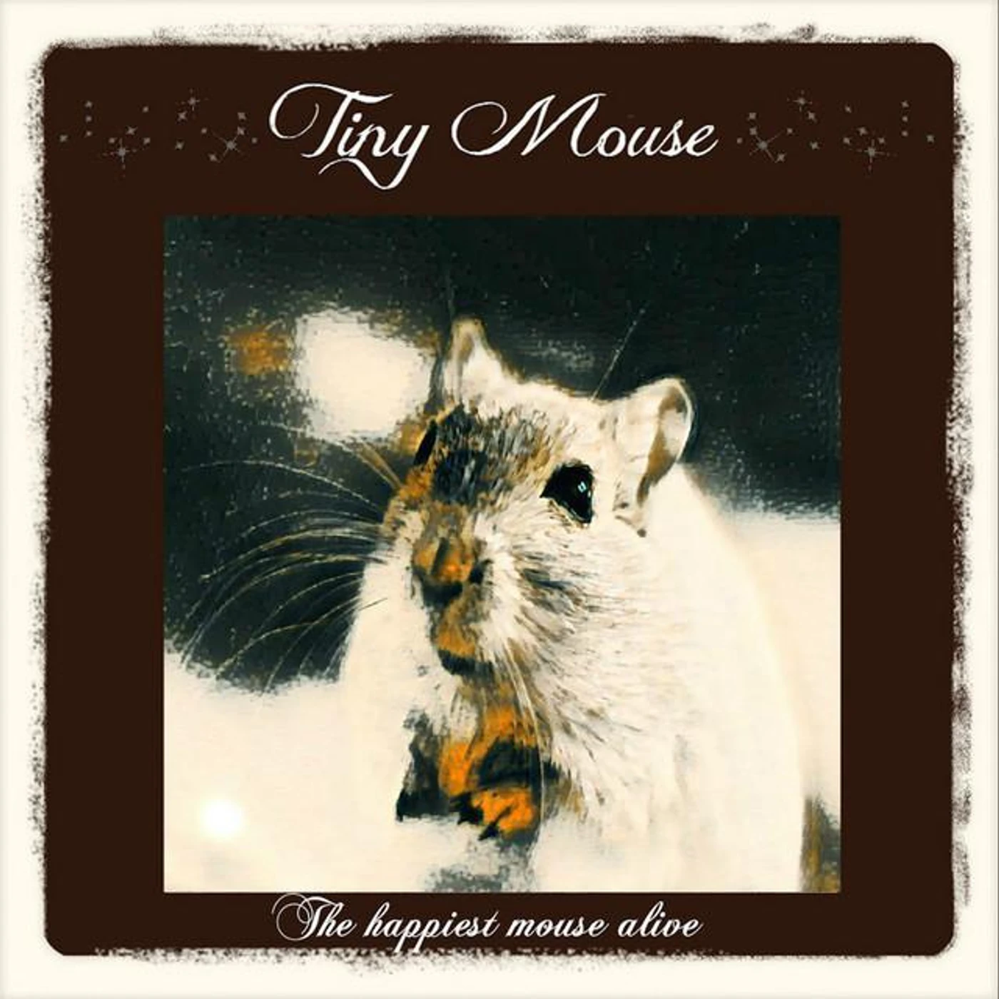 Tiny Mouse