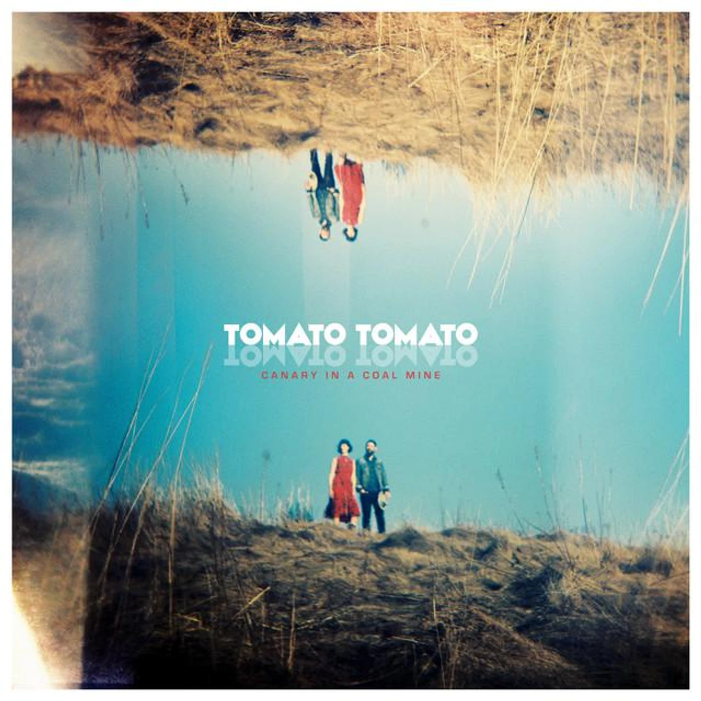 Tomato / Tomato