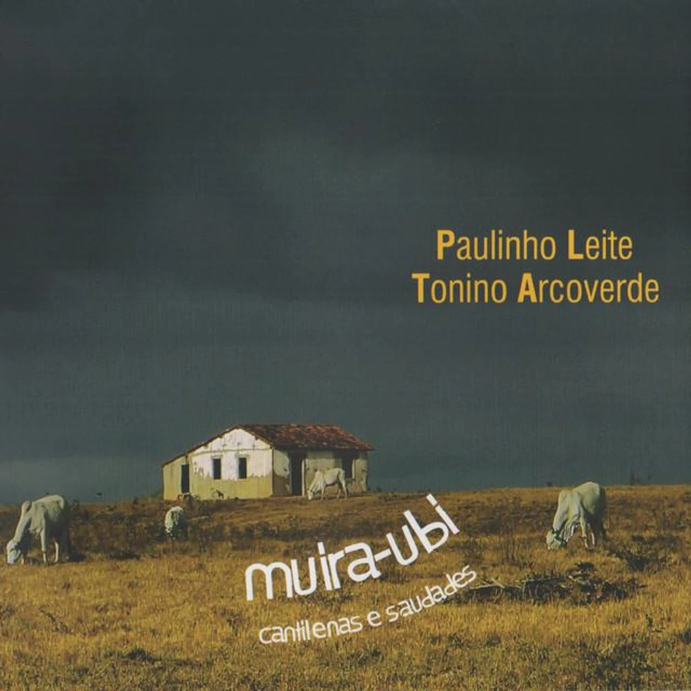 Tonino Arcoverde