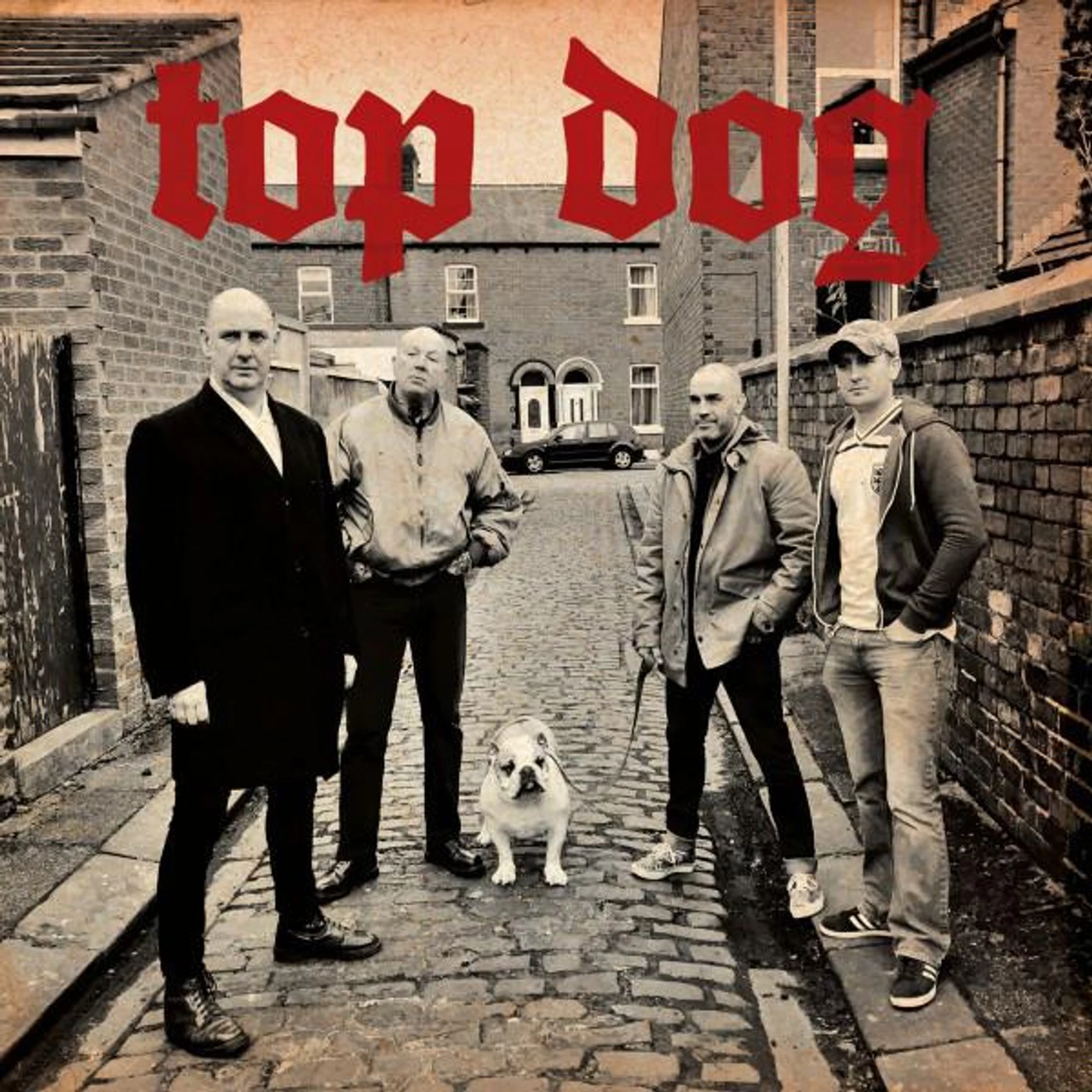 Top Dog
