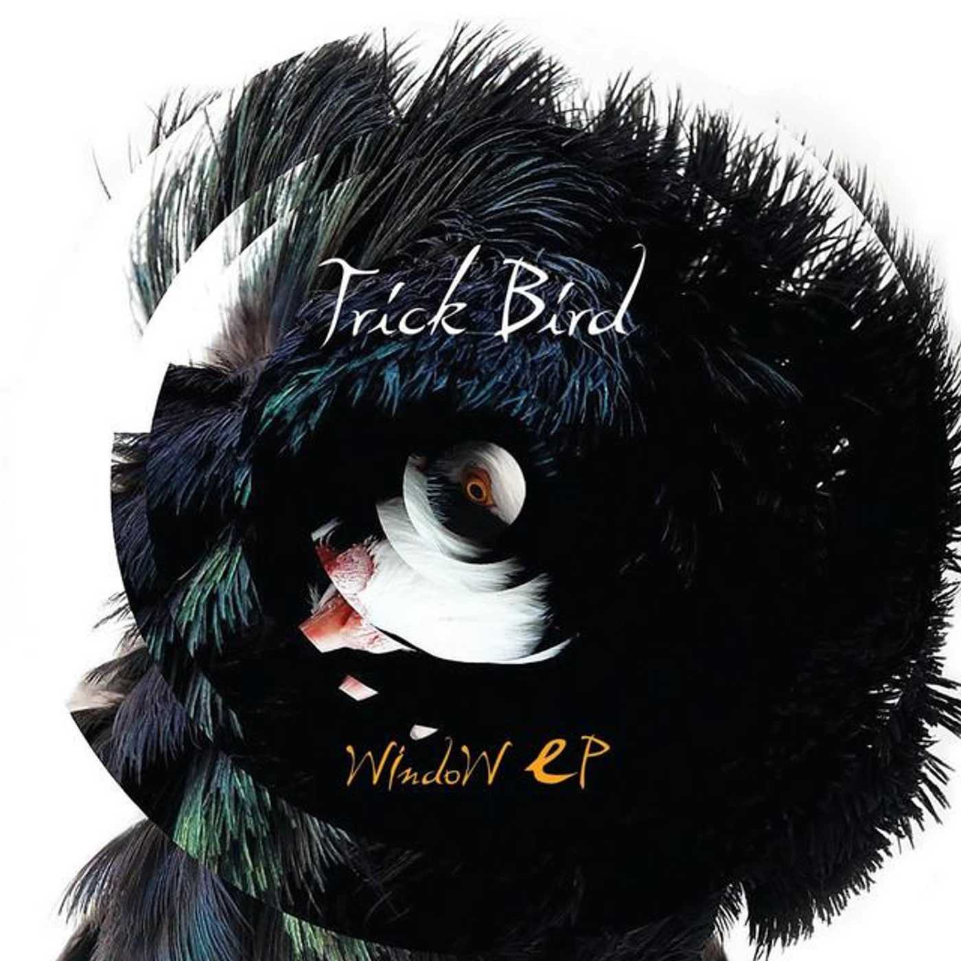 Trick Bird